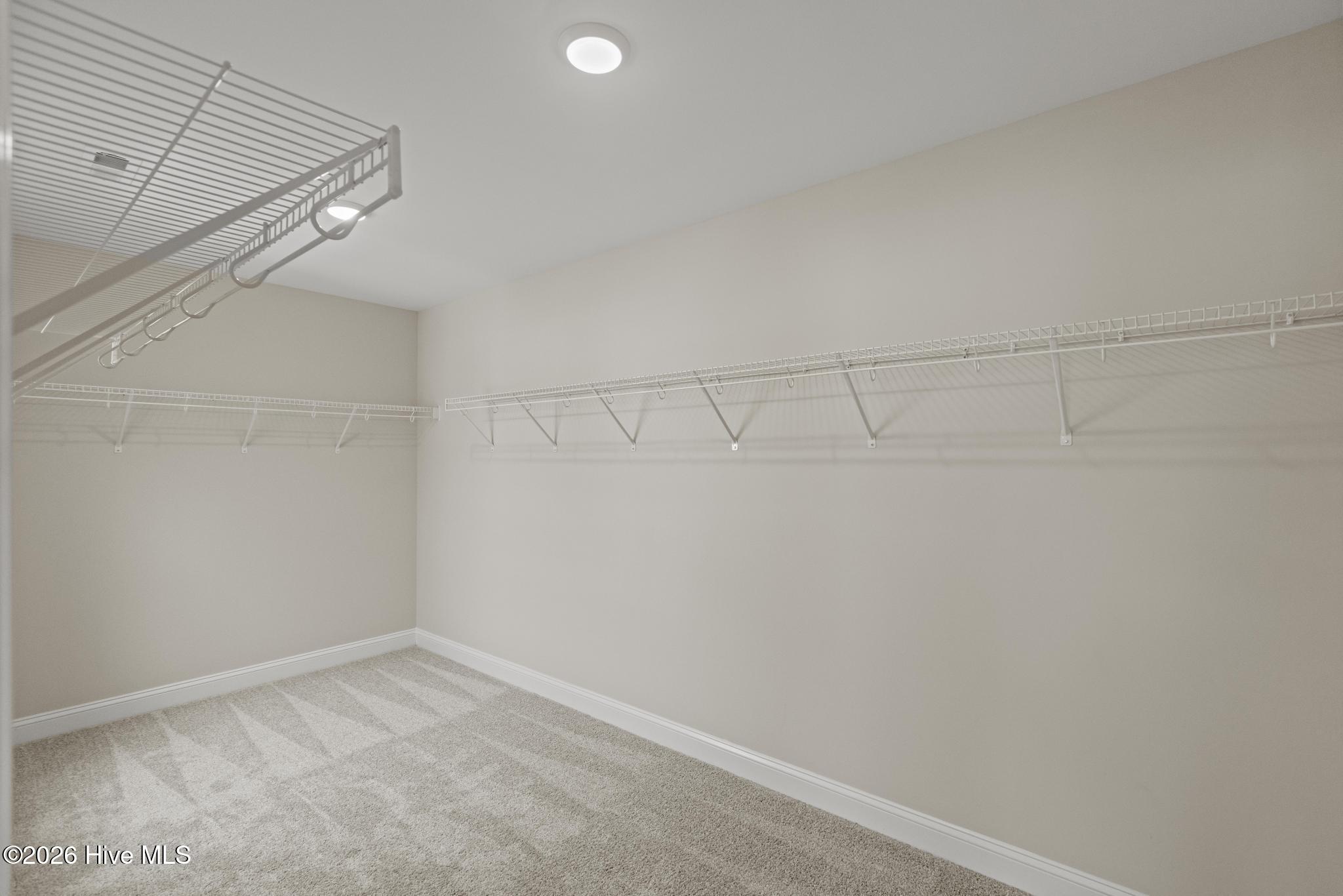 100519461 | Photo 22