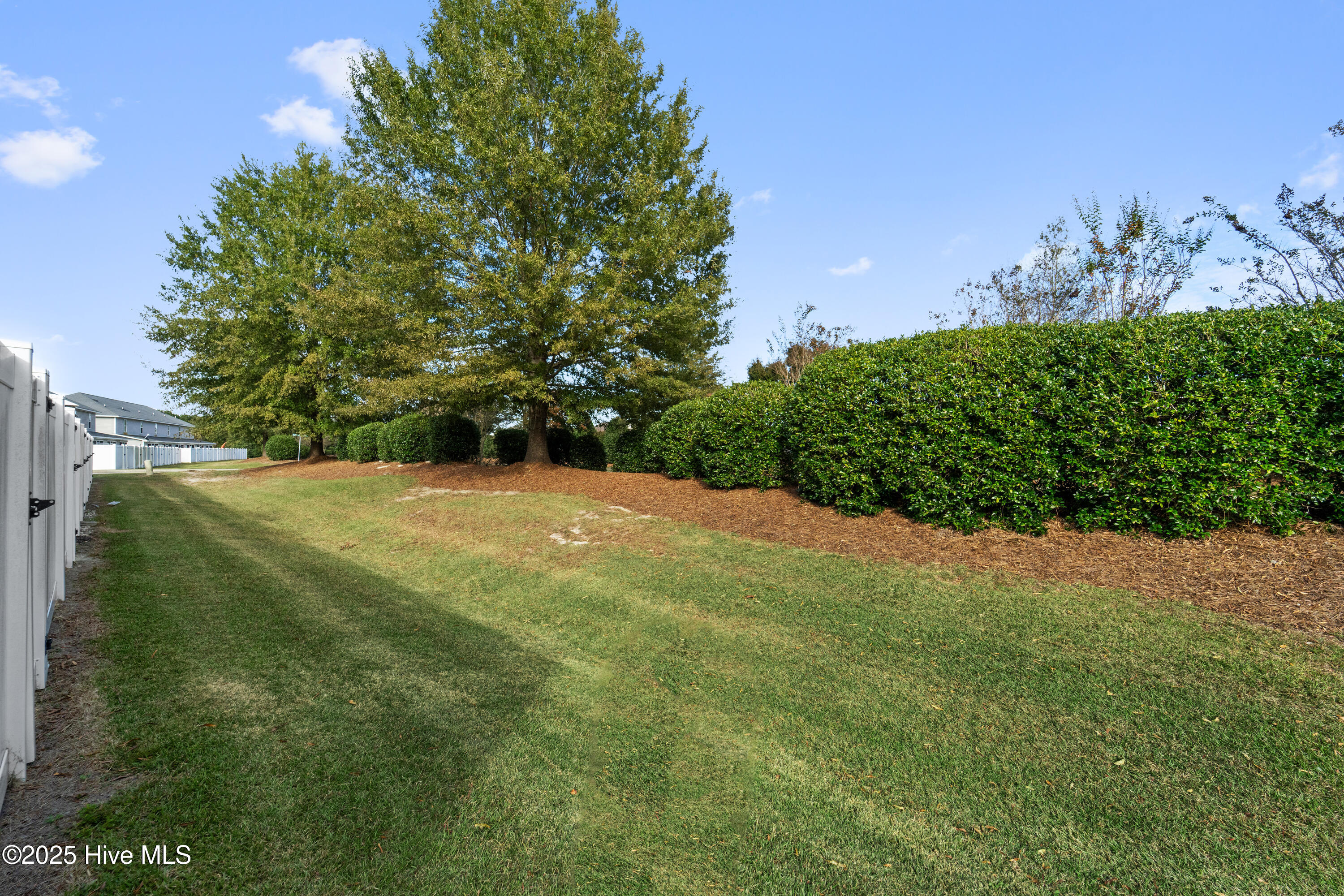 100539318 | Photo 35