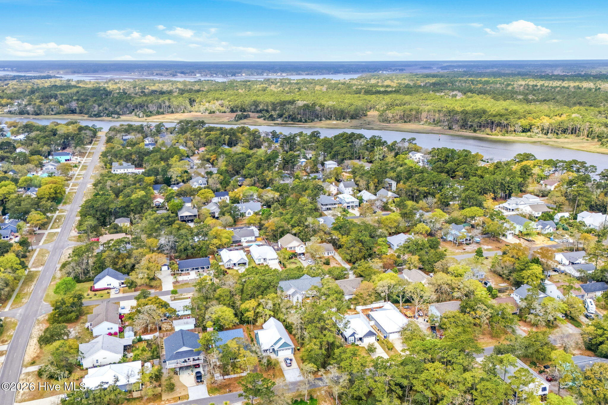 100565063 | Photo 11