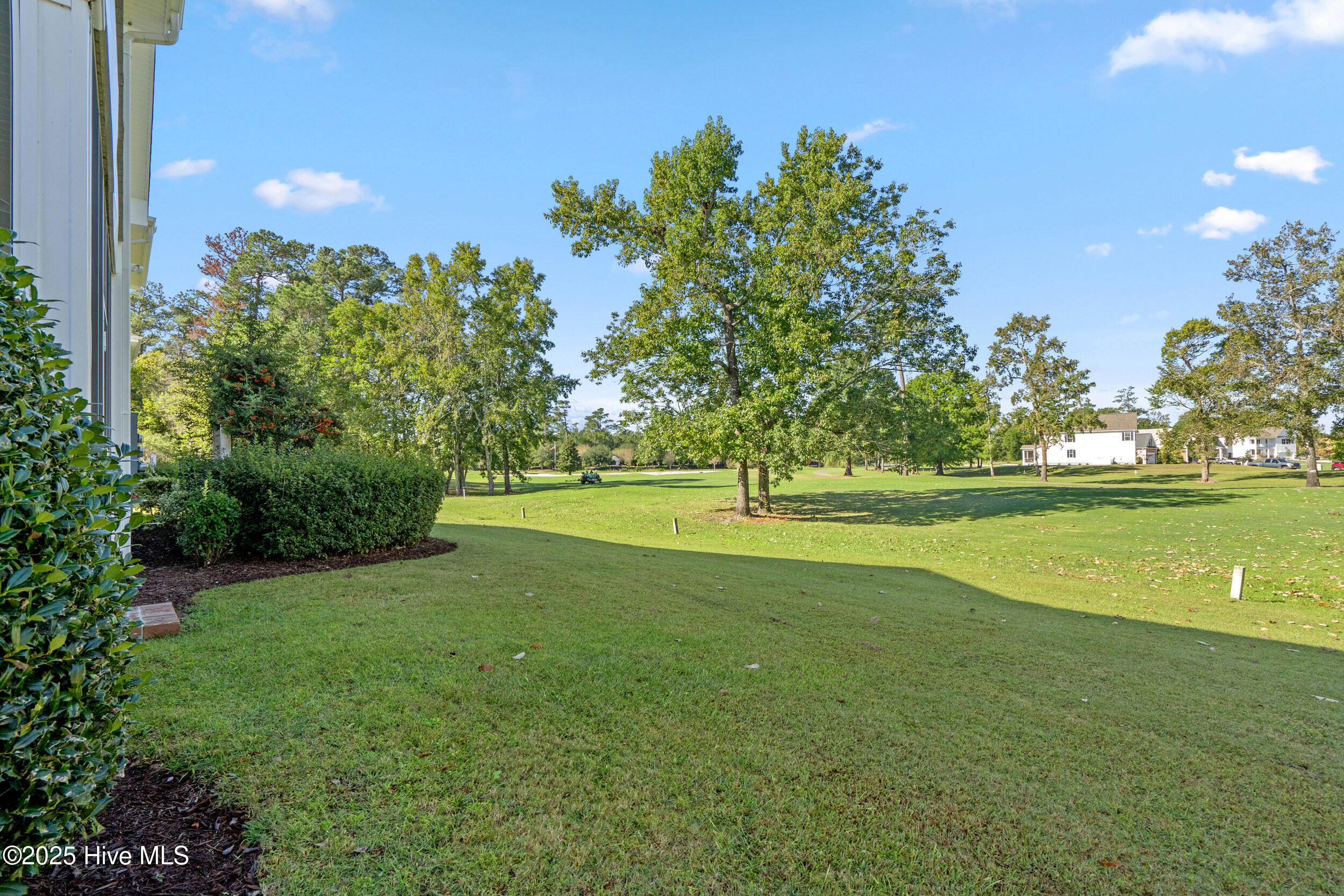 100536950 | Photo 32