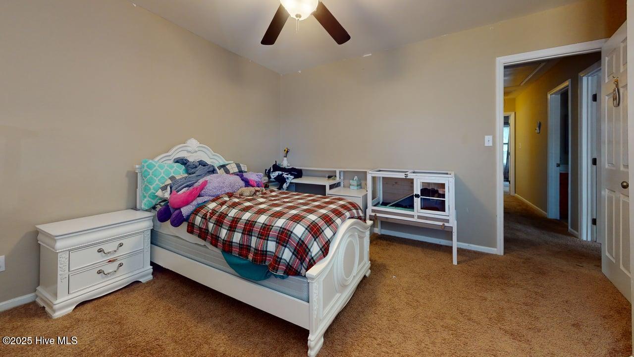 100541217 | Photo 30