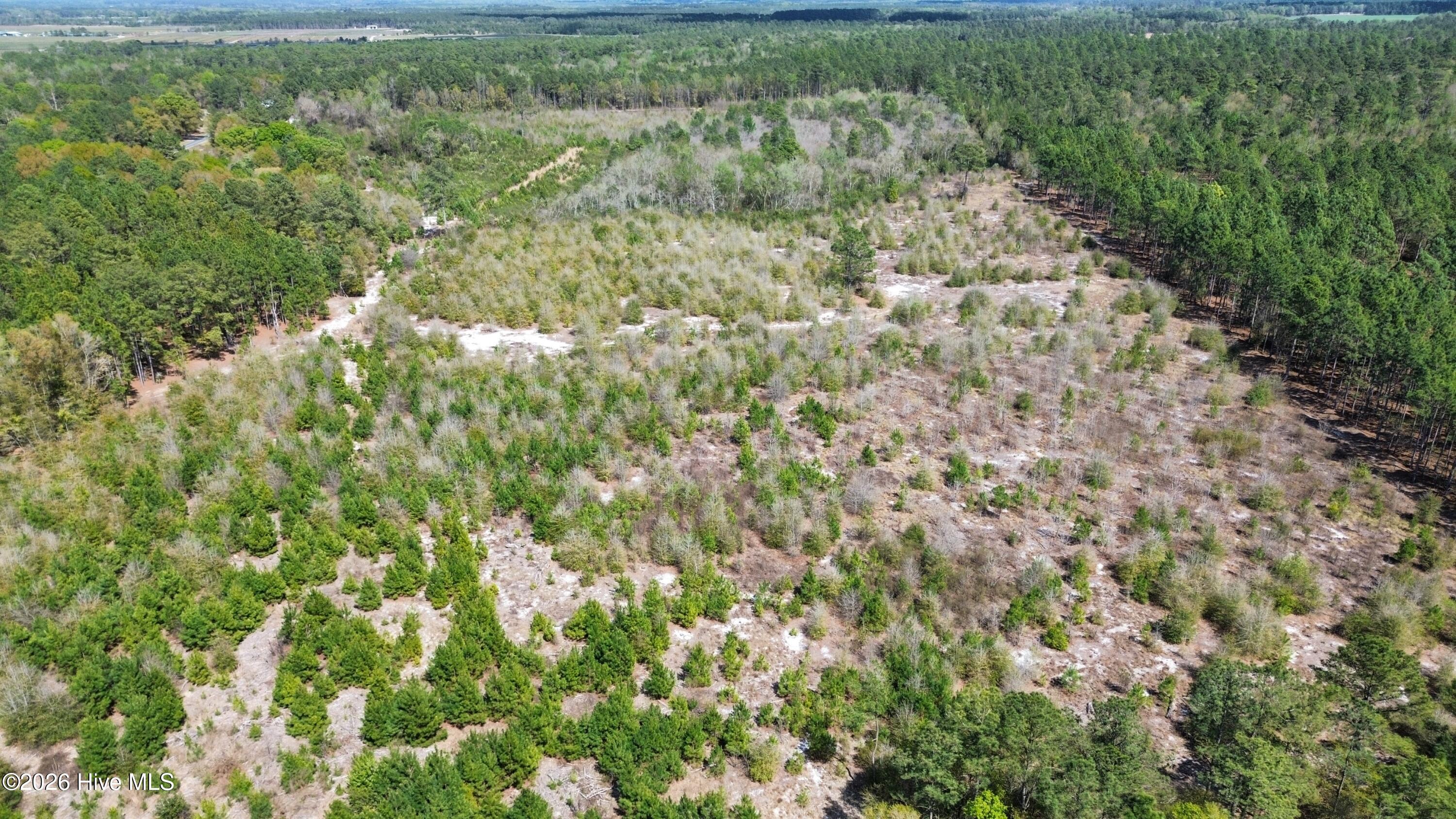 467 Freedom Park Road, Beaufort, NC, 28516