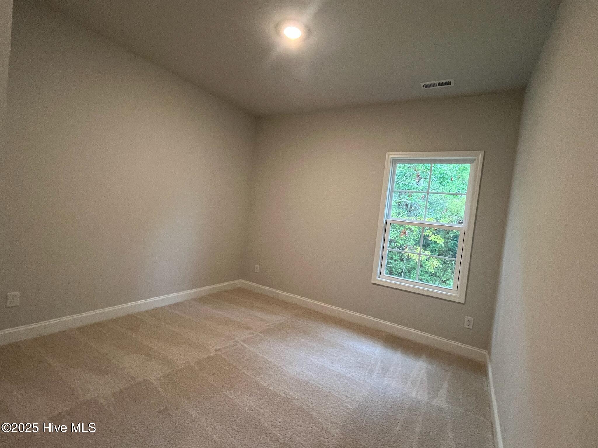 100420978 | Photo 30