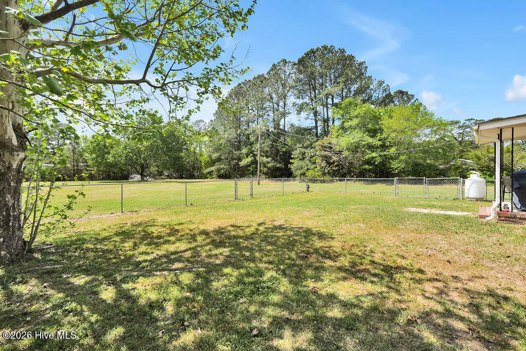 100567983 | Photo 23