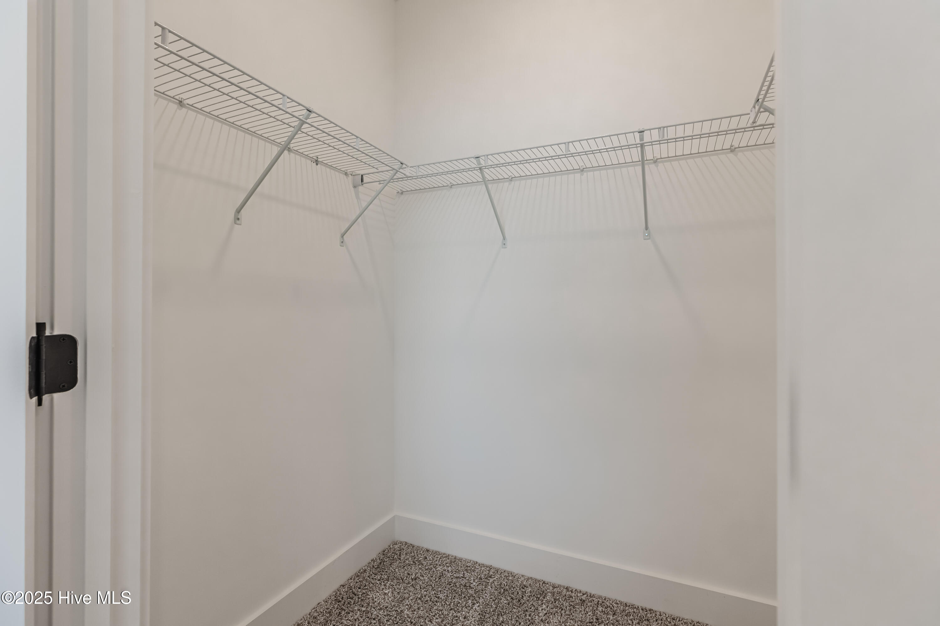 100566499 | Photo 13