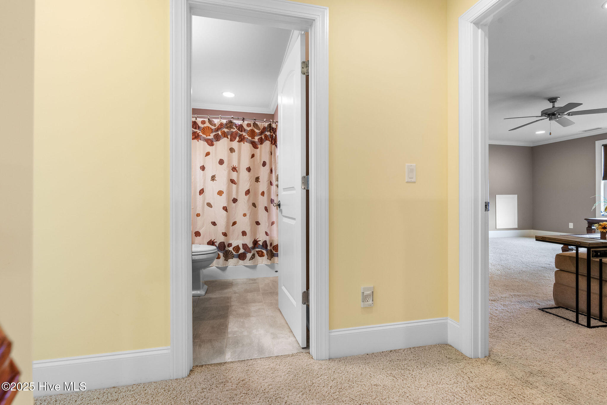 100524578 | Photo 45