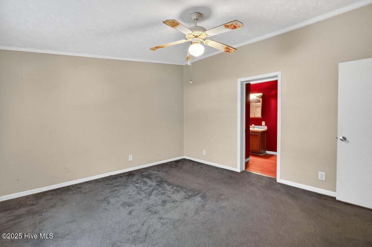 100539817 | Photo 11