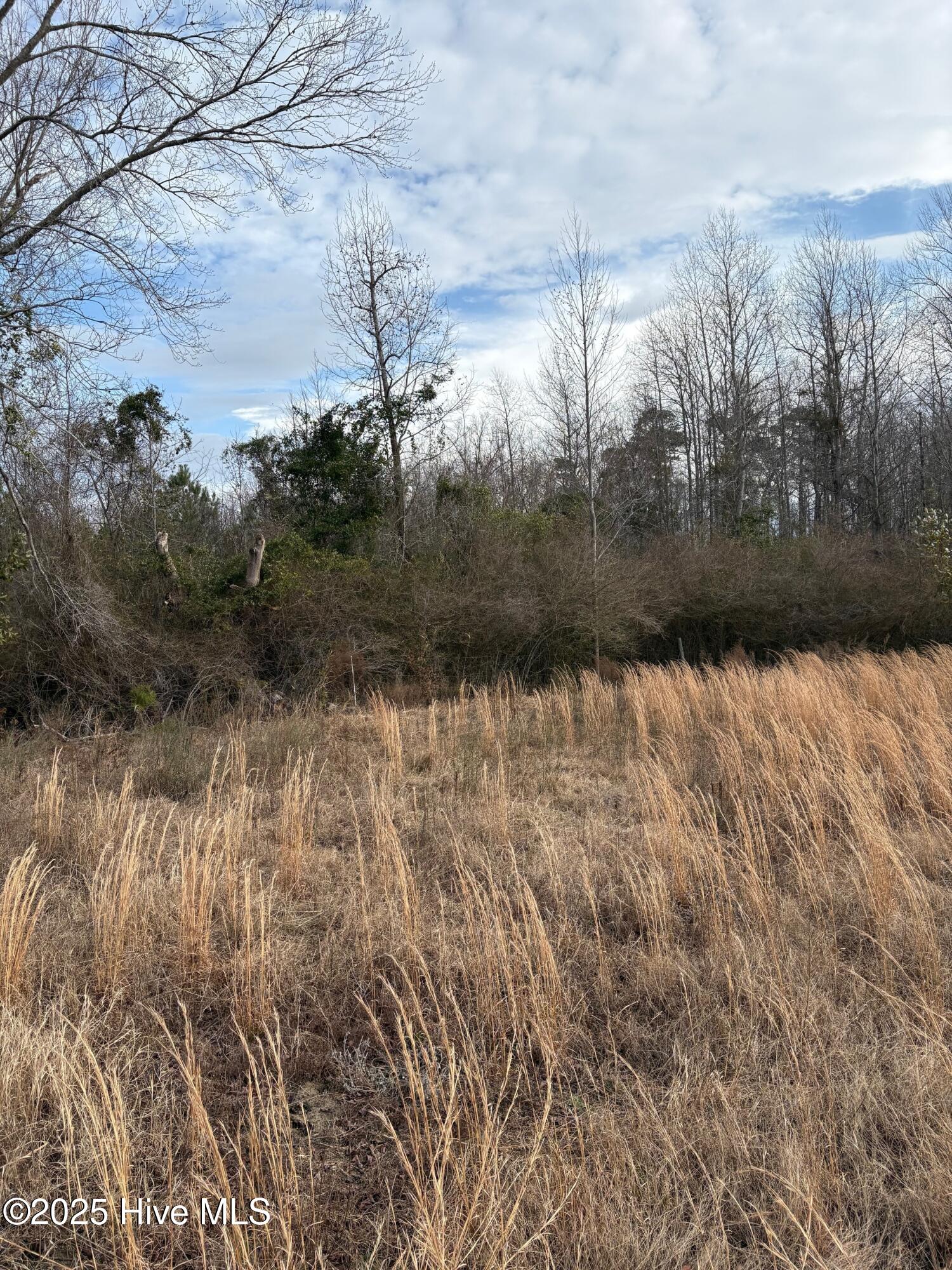 100532071 | Photo 16