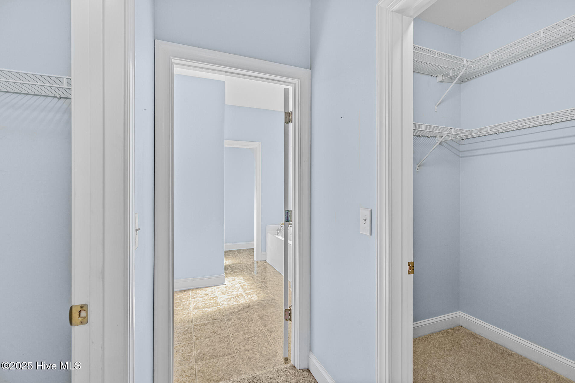 100537210 | Photo 19