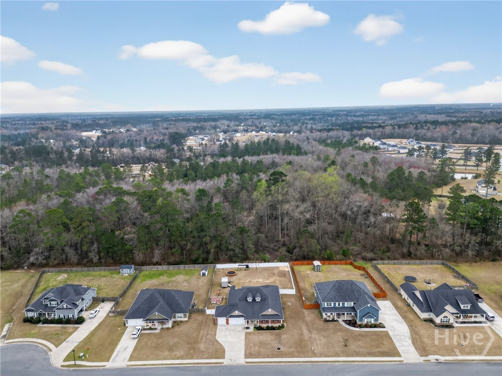 356 Palmer Place Lane NE, Ludowici, GA 31316 Listing Photo  46