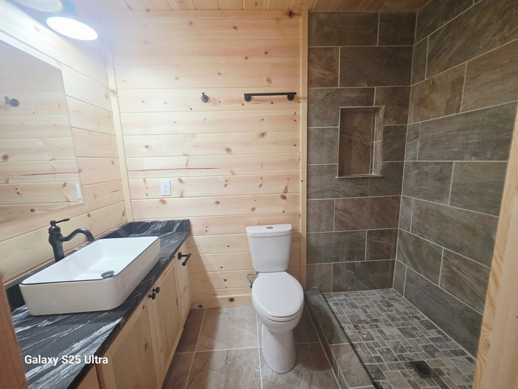 369 Nottley River Road, Murphy, NC 28906 Listing Photo  6