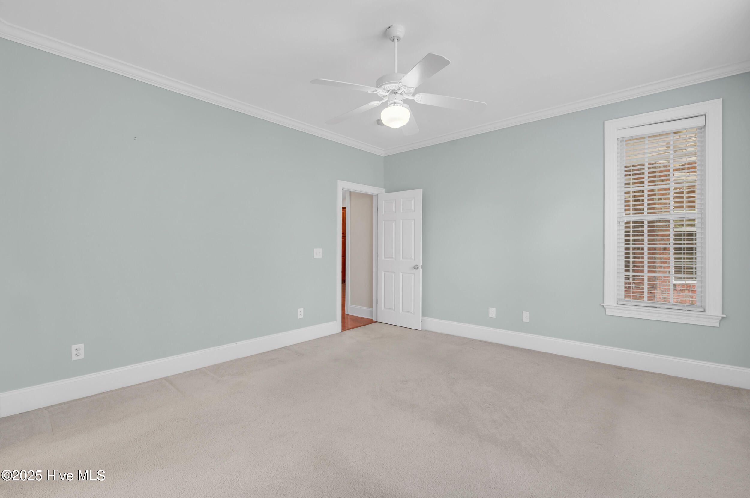 100514630 | Photo 24