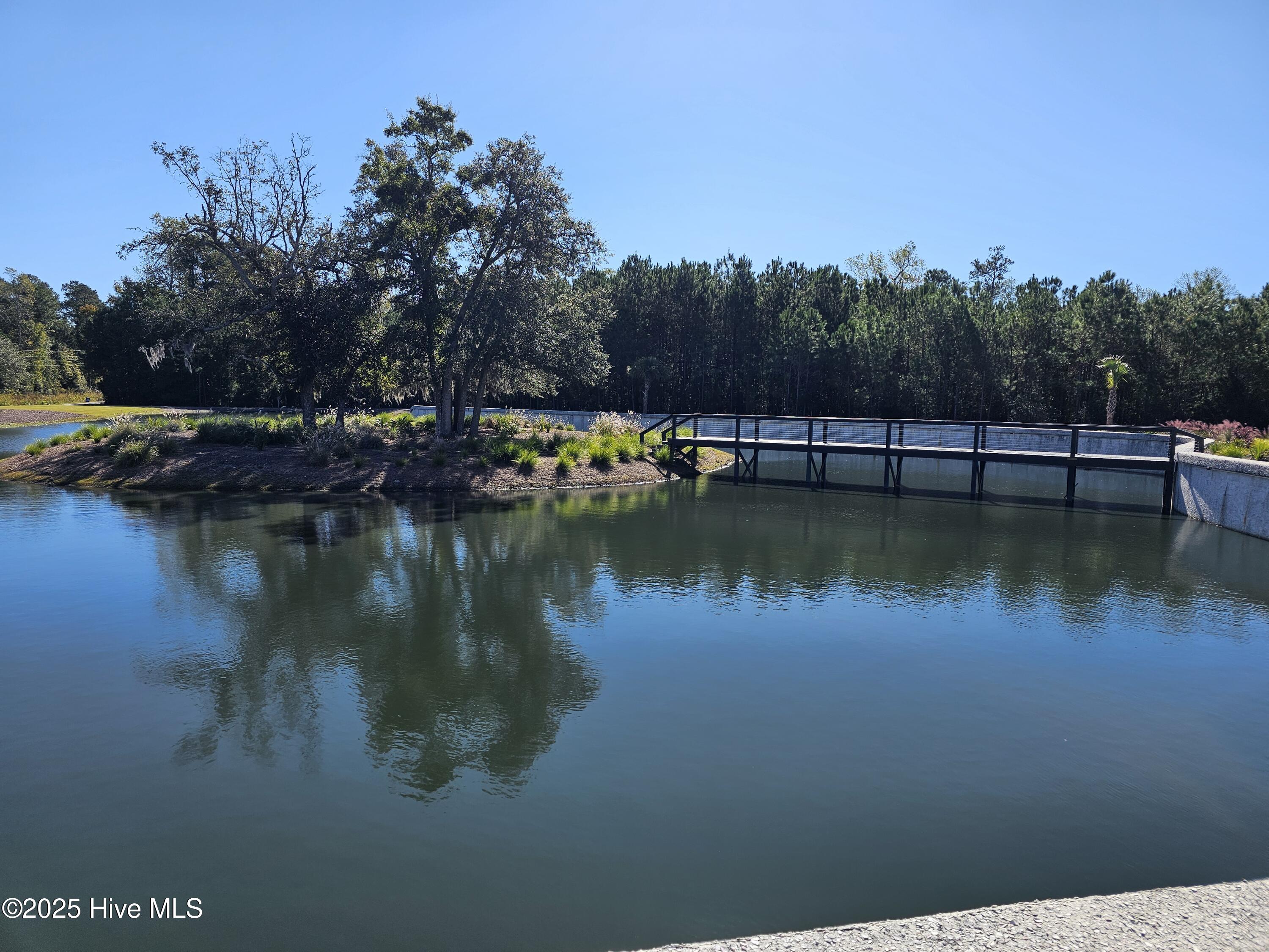 100531272 | Photo 29