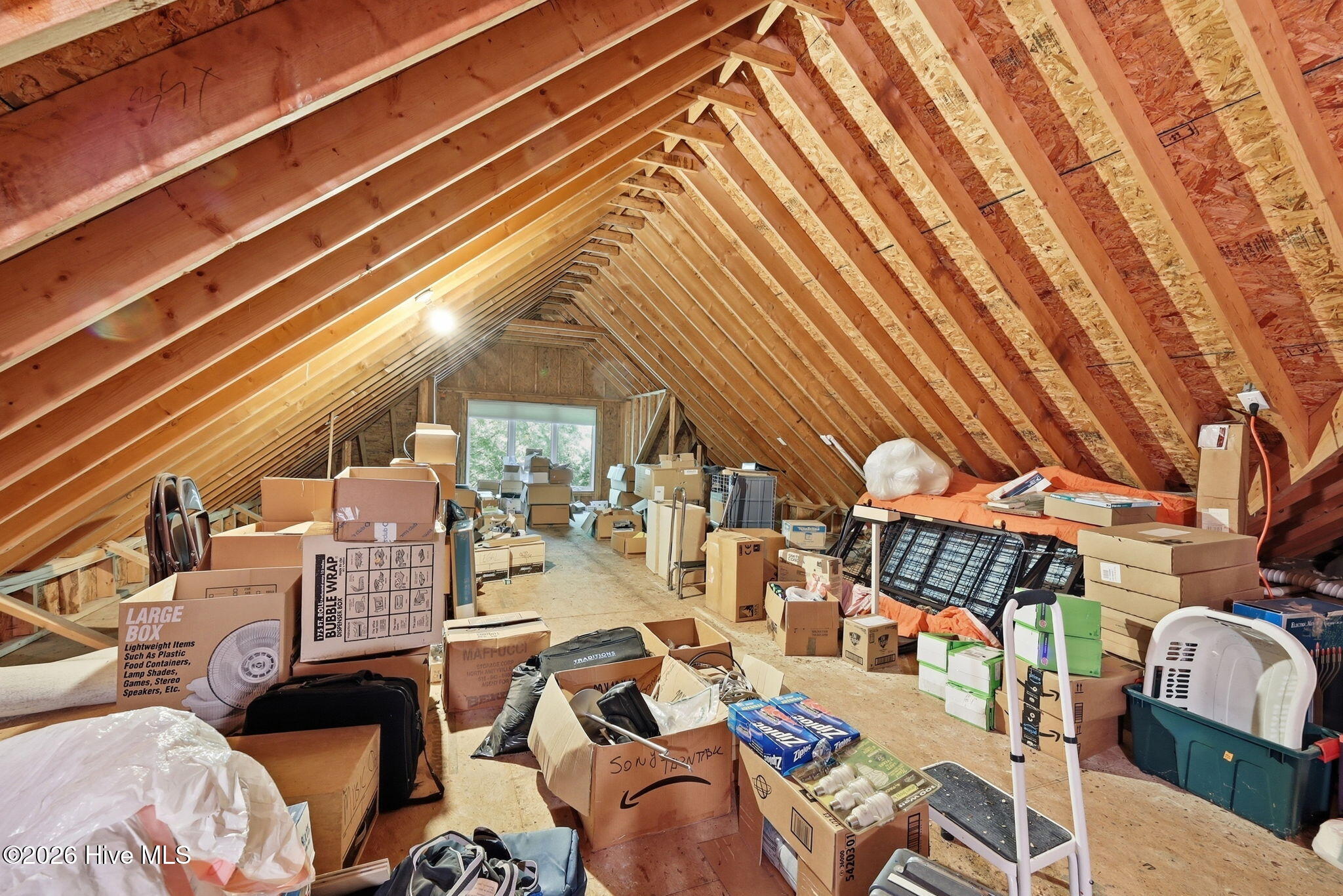 62-web-or-mls-IMG_1839