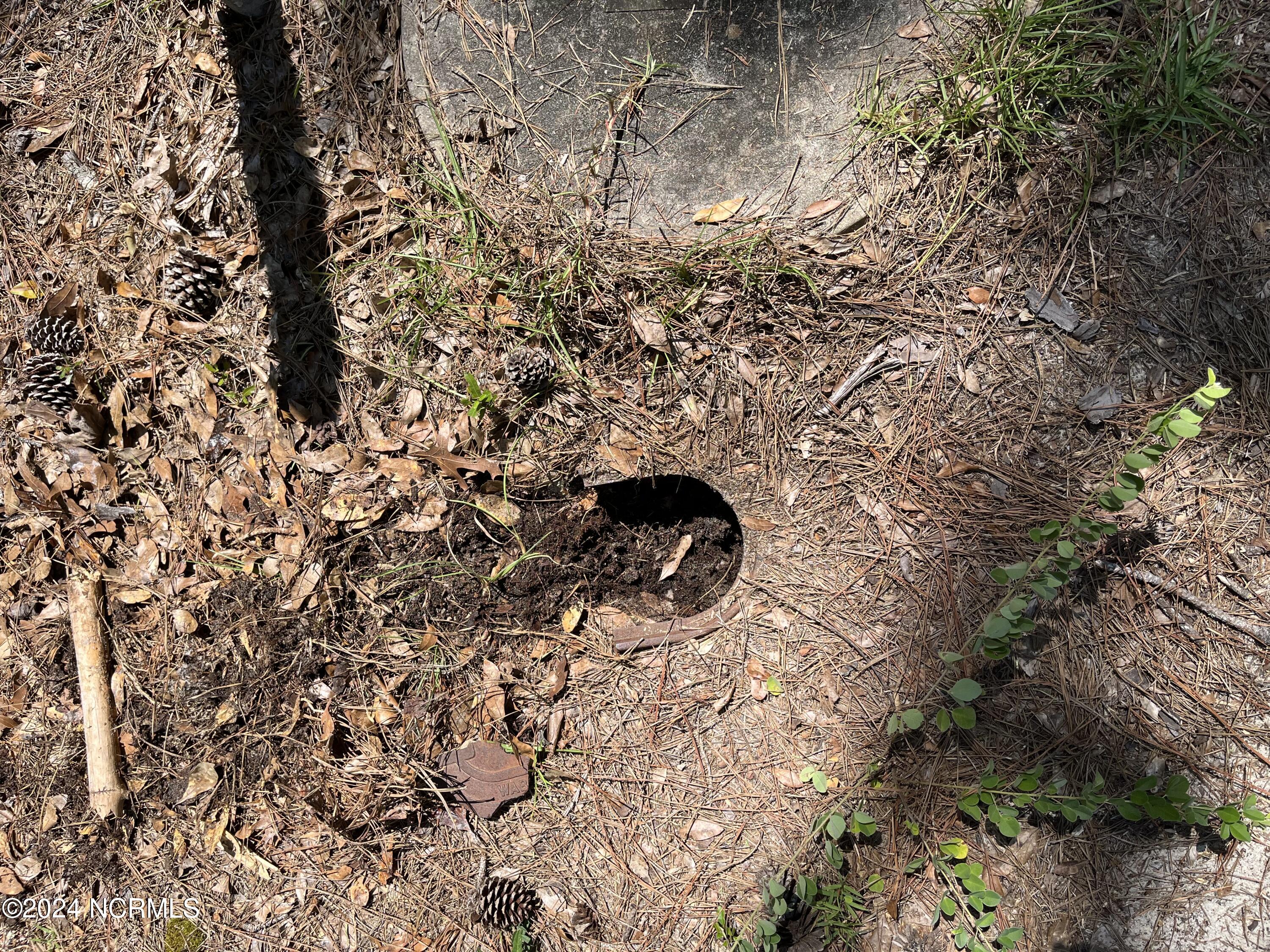 100458901 | Photo 30