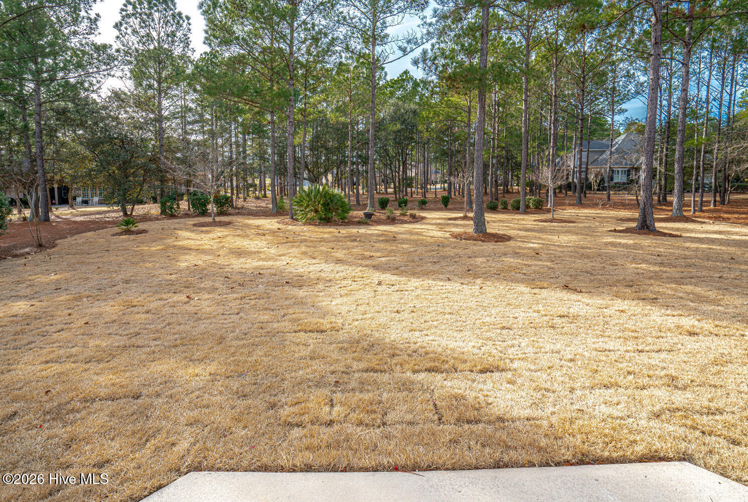 100552025 | Photo 67