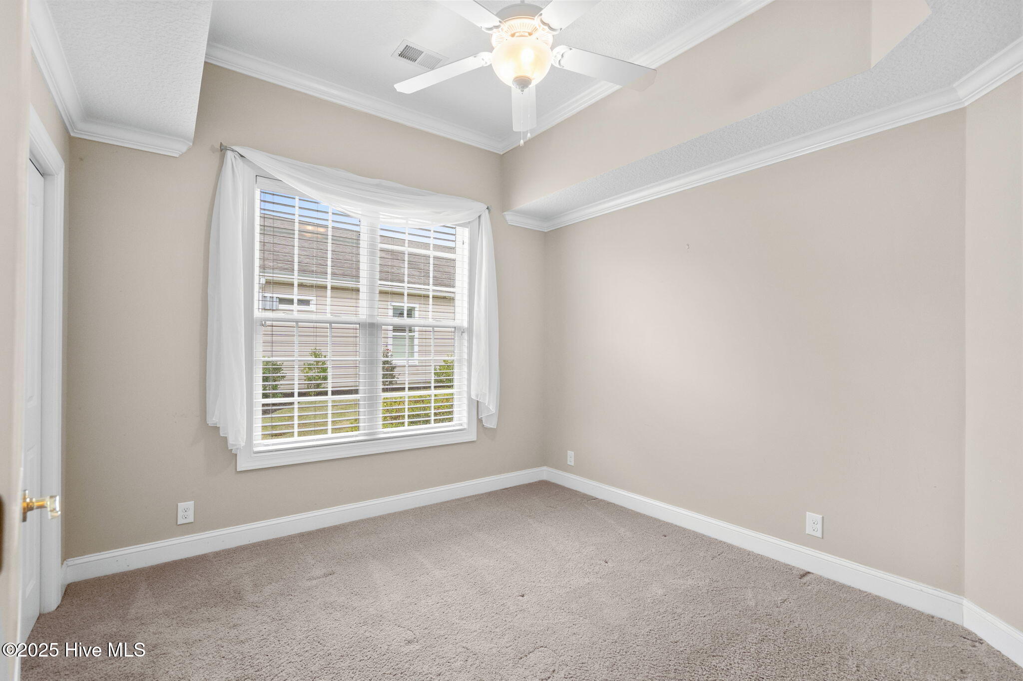 100538854 | Photo 34