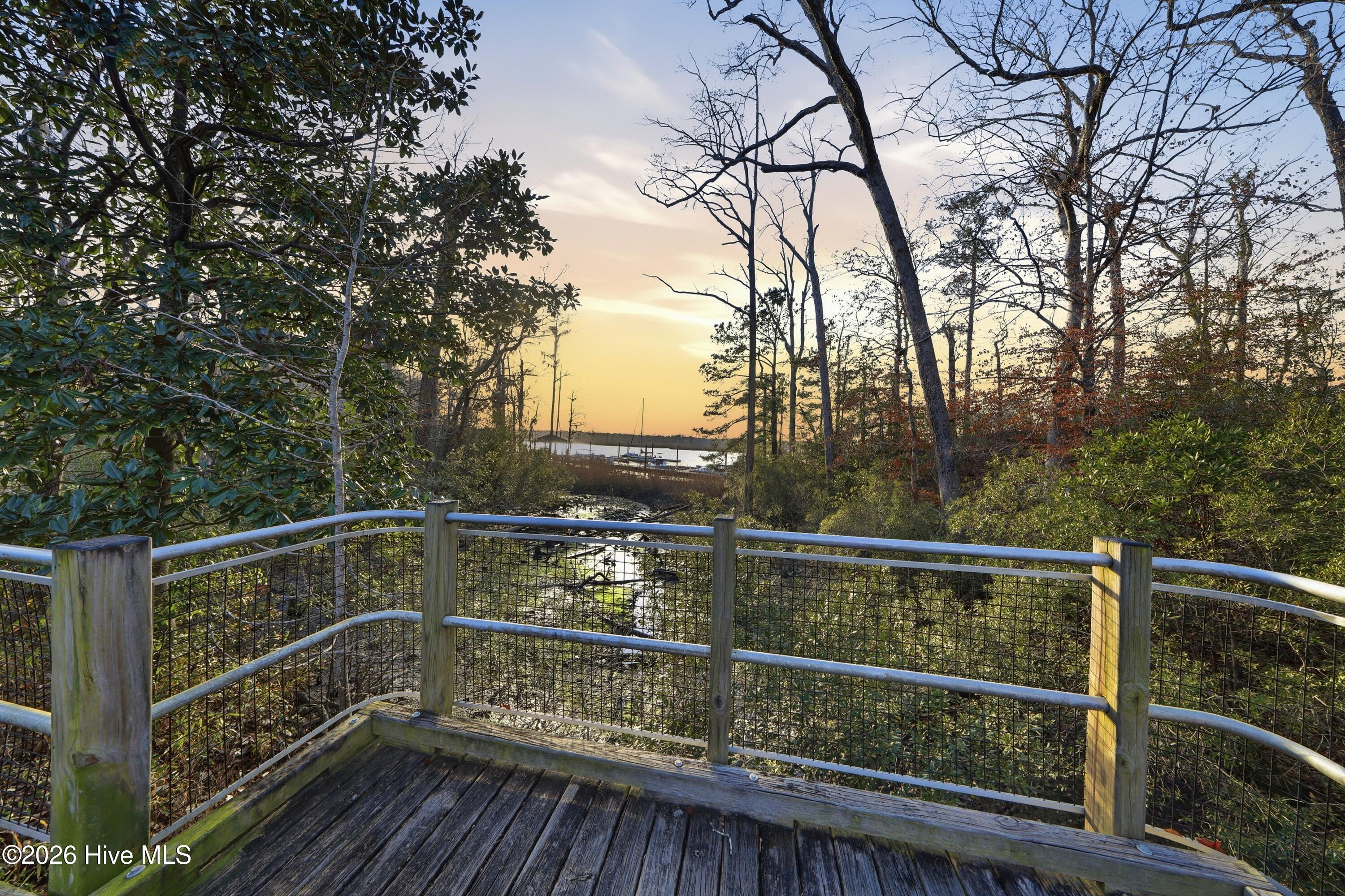 100558541 | Photo 81