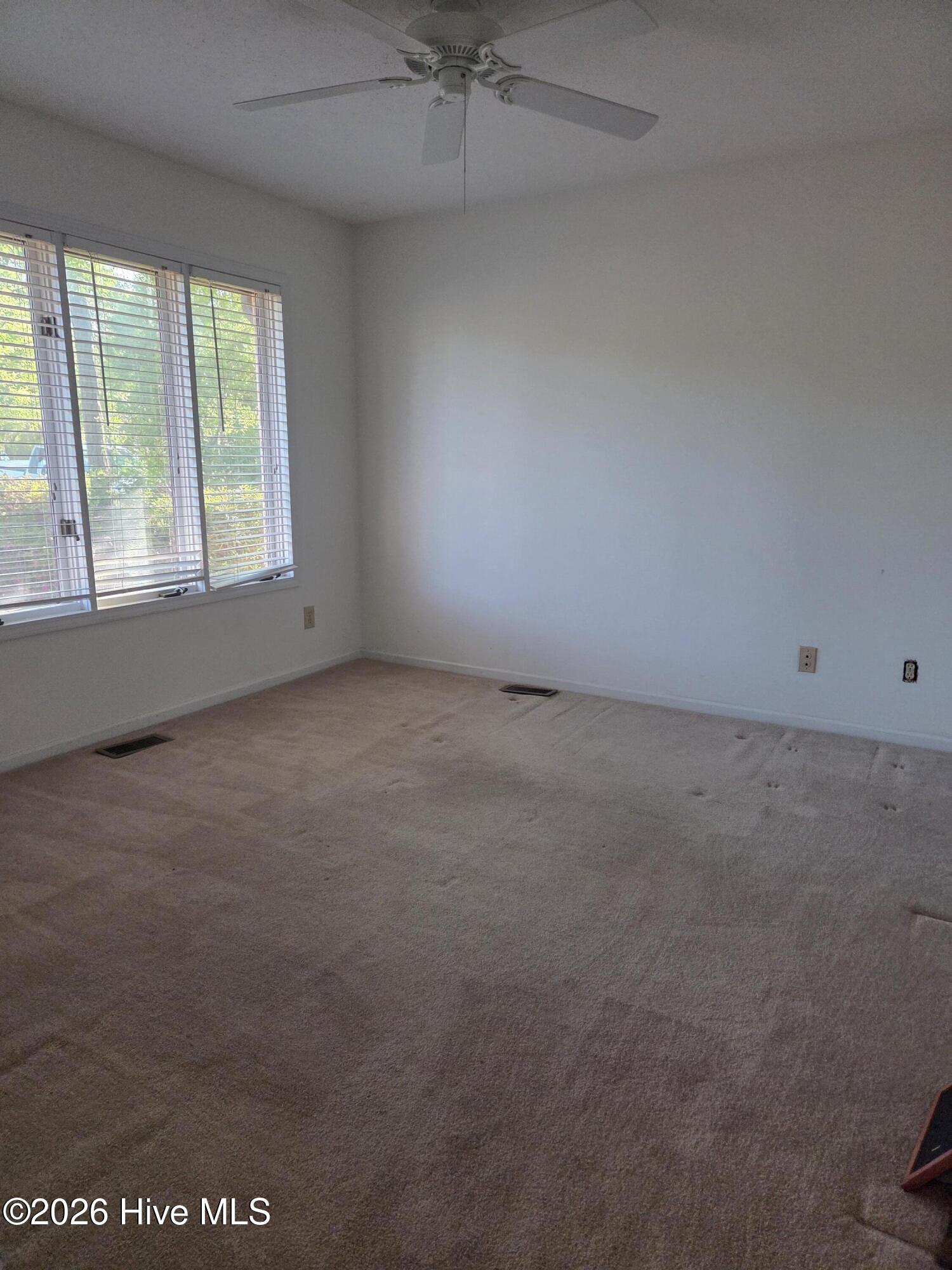 100568652 | Photo 21