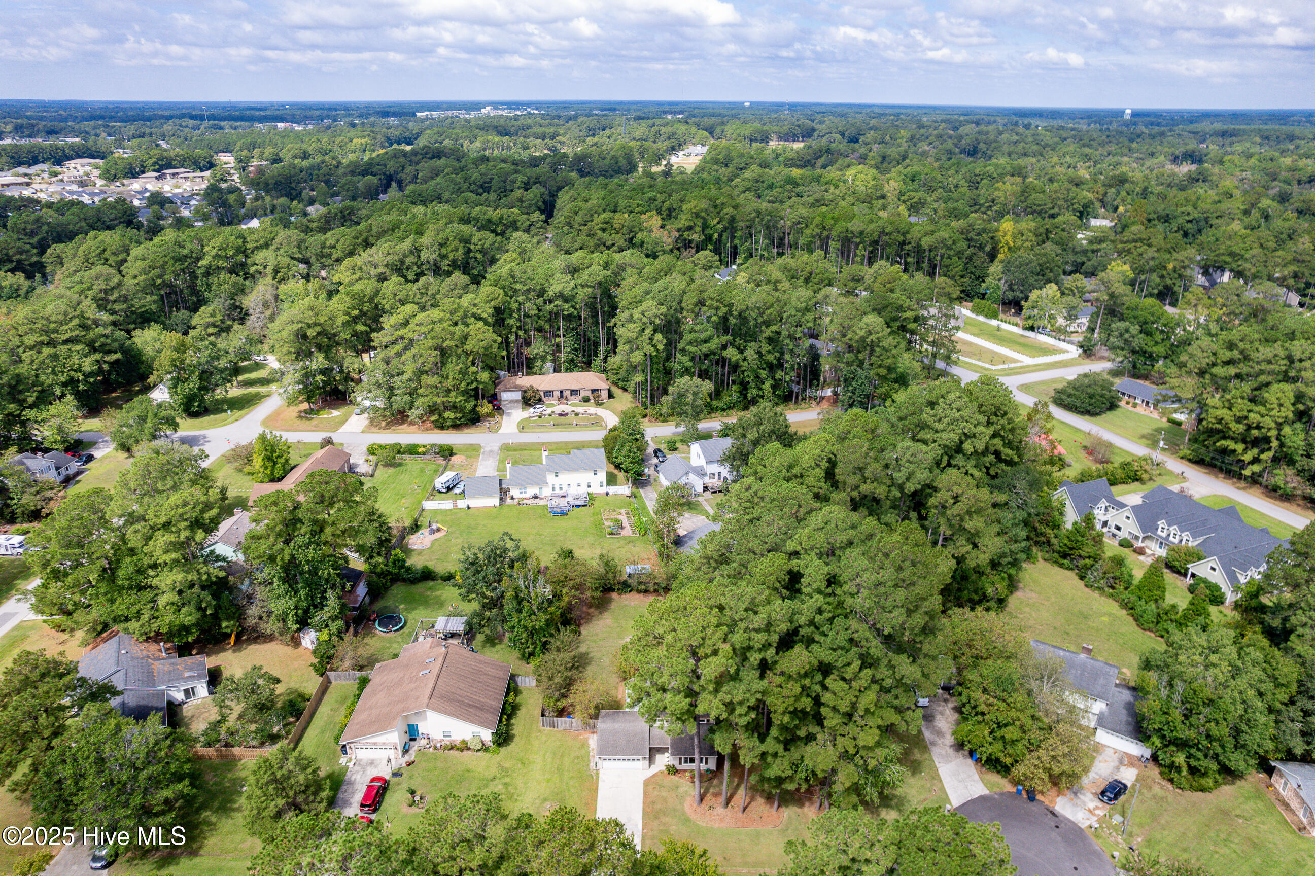 100531663 | Photo 40