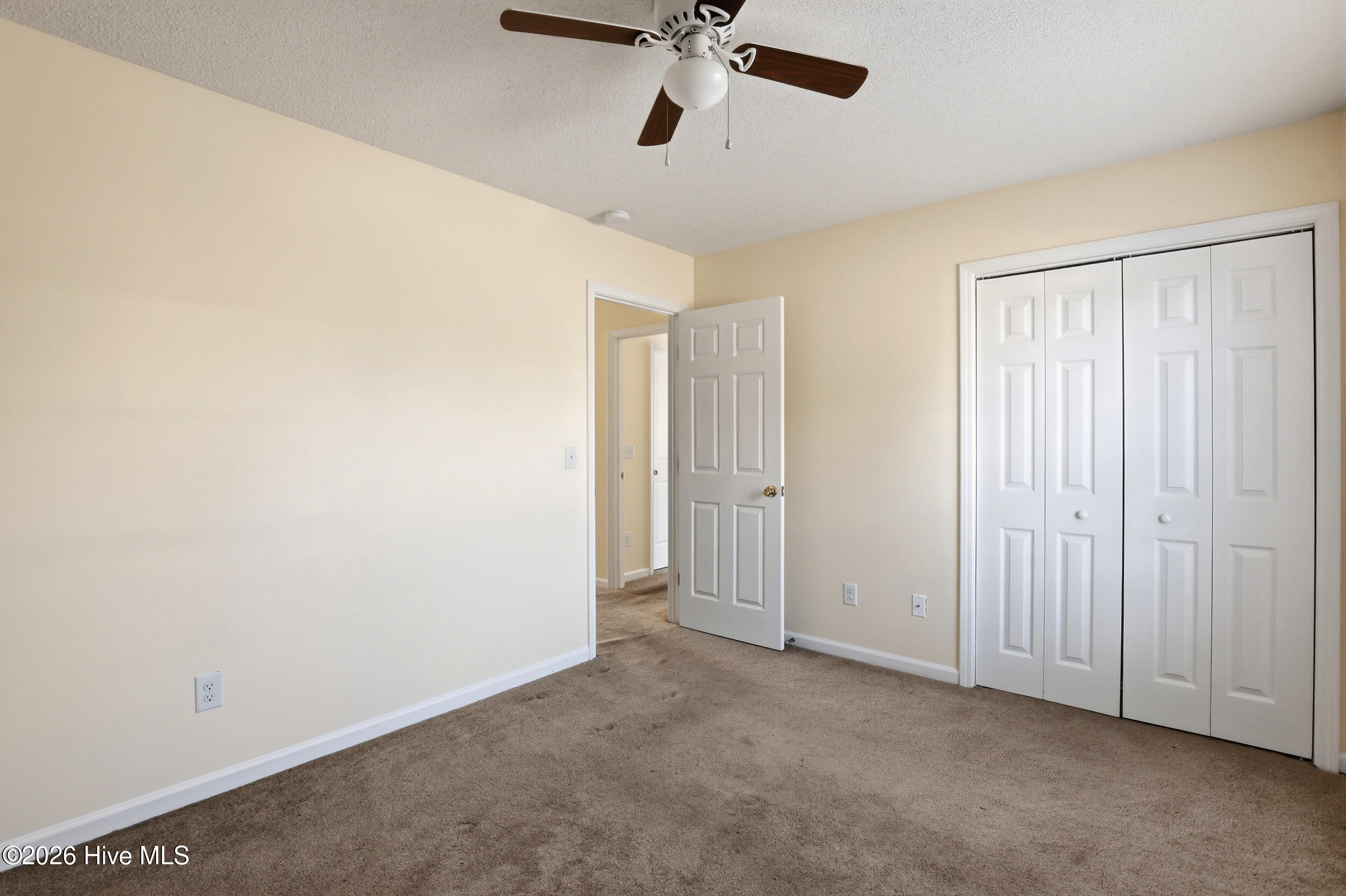 100568655 | Photo 19