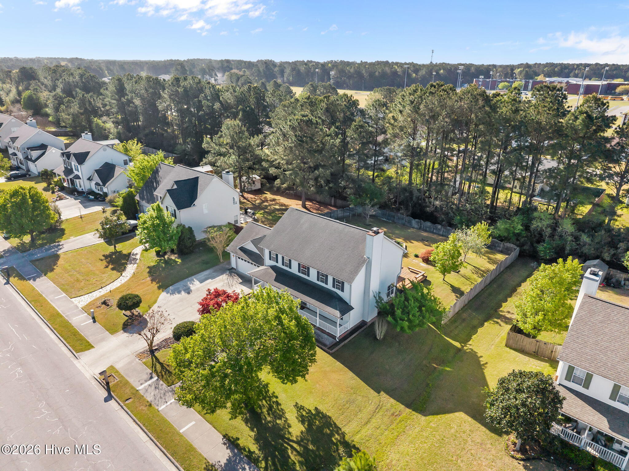 100565135 | Photo 39