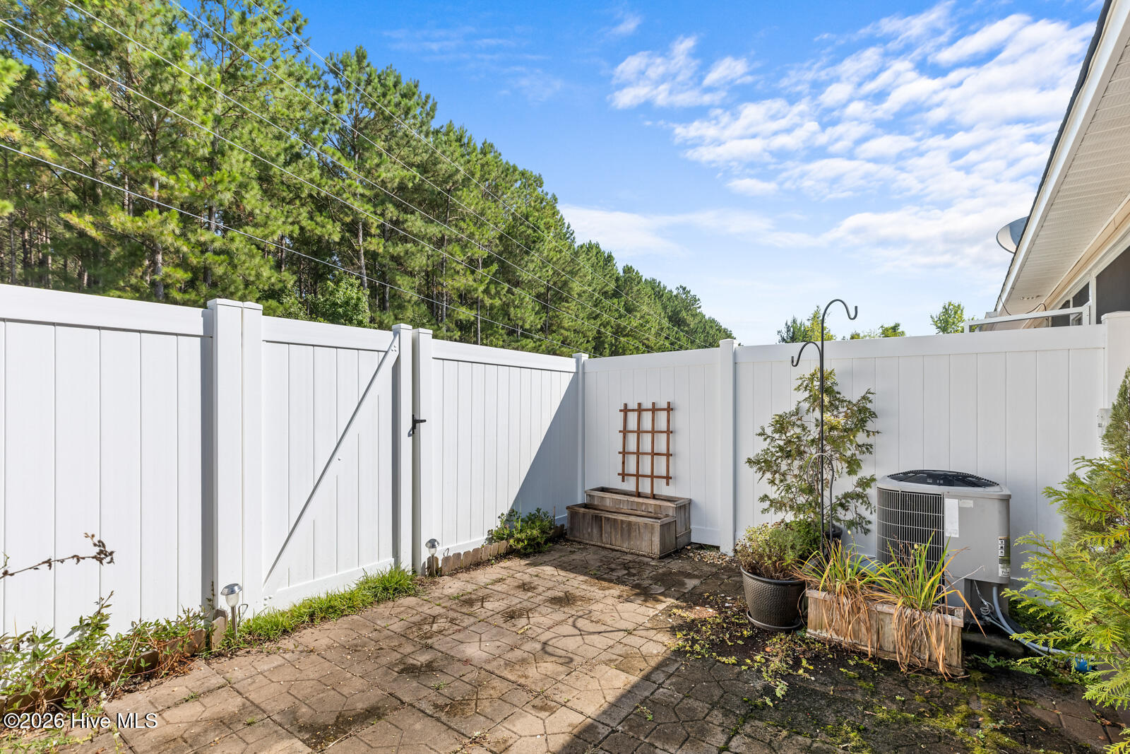 100588986 | Photo 24