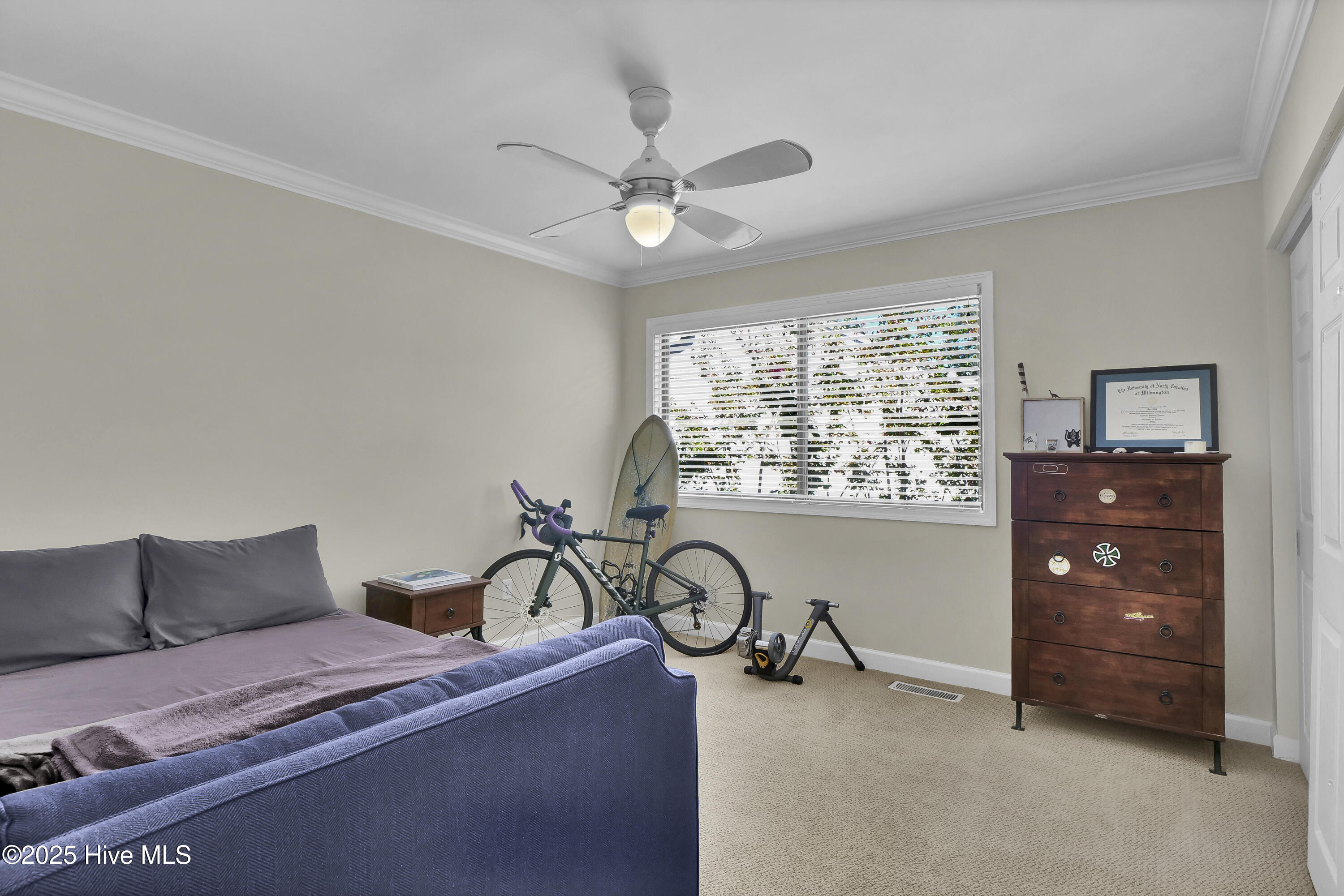 100532571 | Photo 28