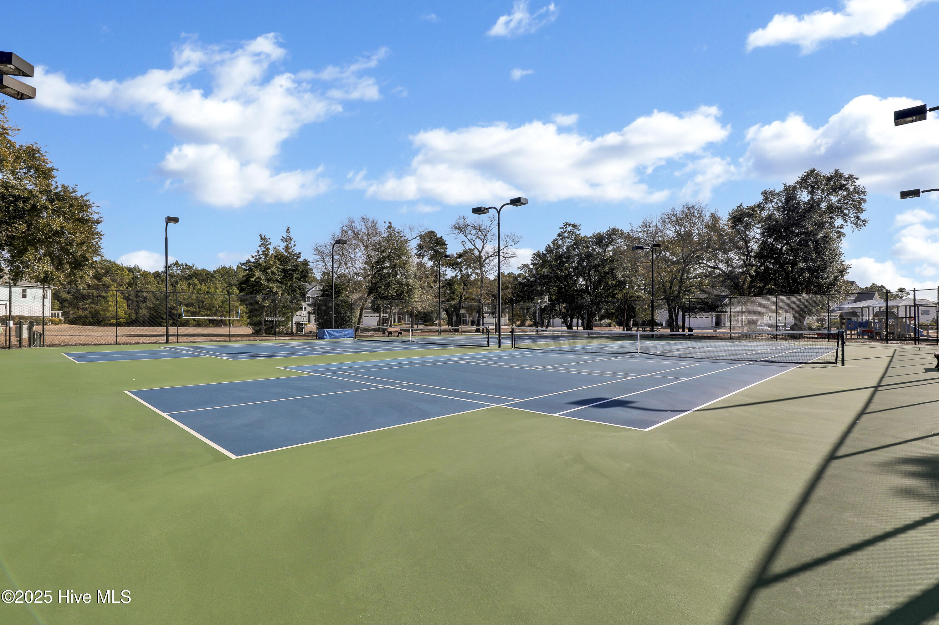 100546984 | Photo 61