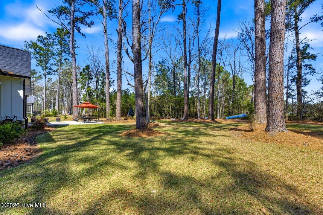 100560083 | Photo 43