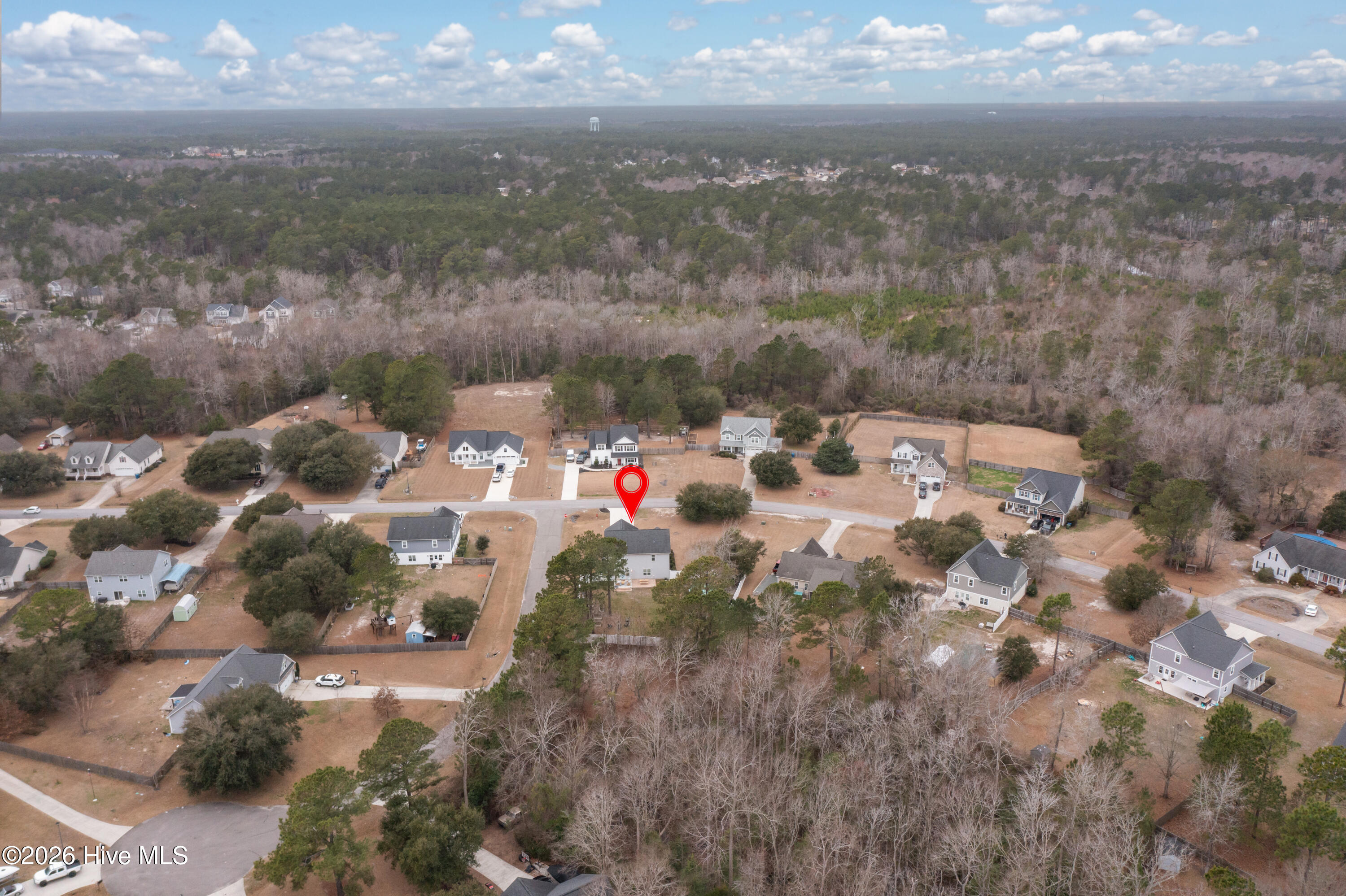 100558497 | Photo 63