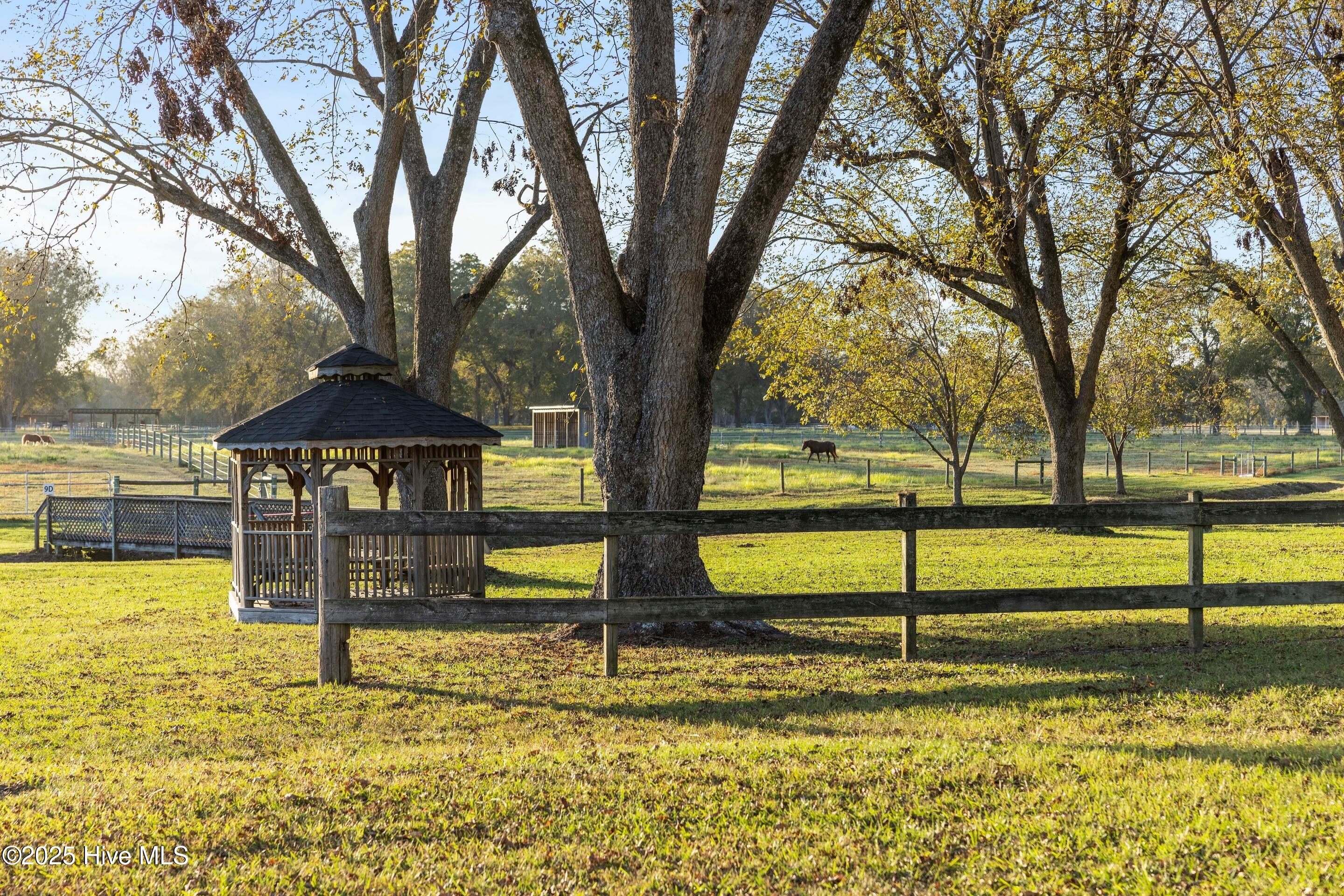 100510078 | Photo 56