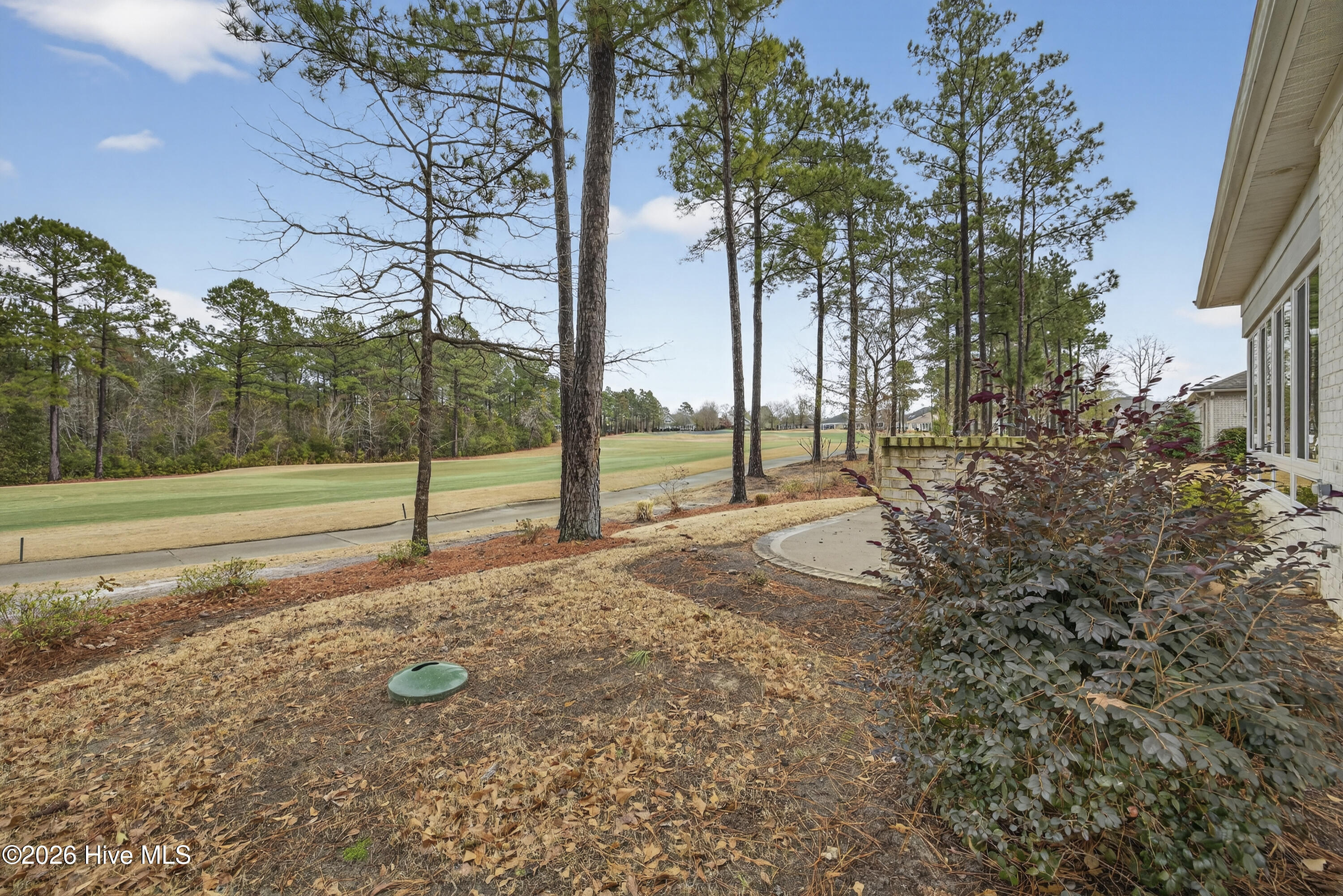 100551916 | Photo 24