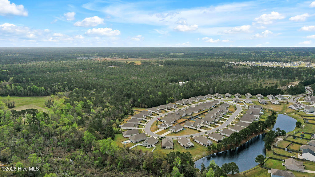 100565094 | Photo 40