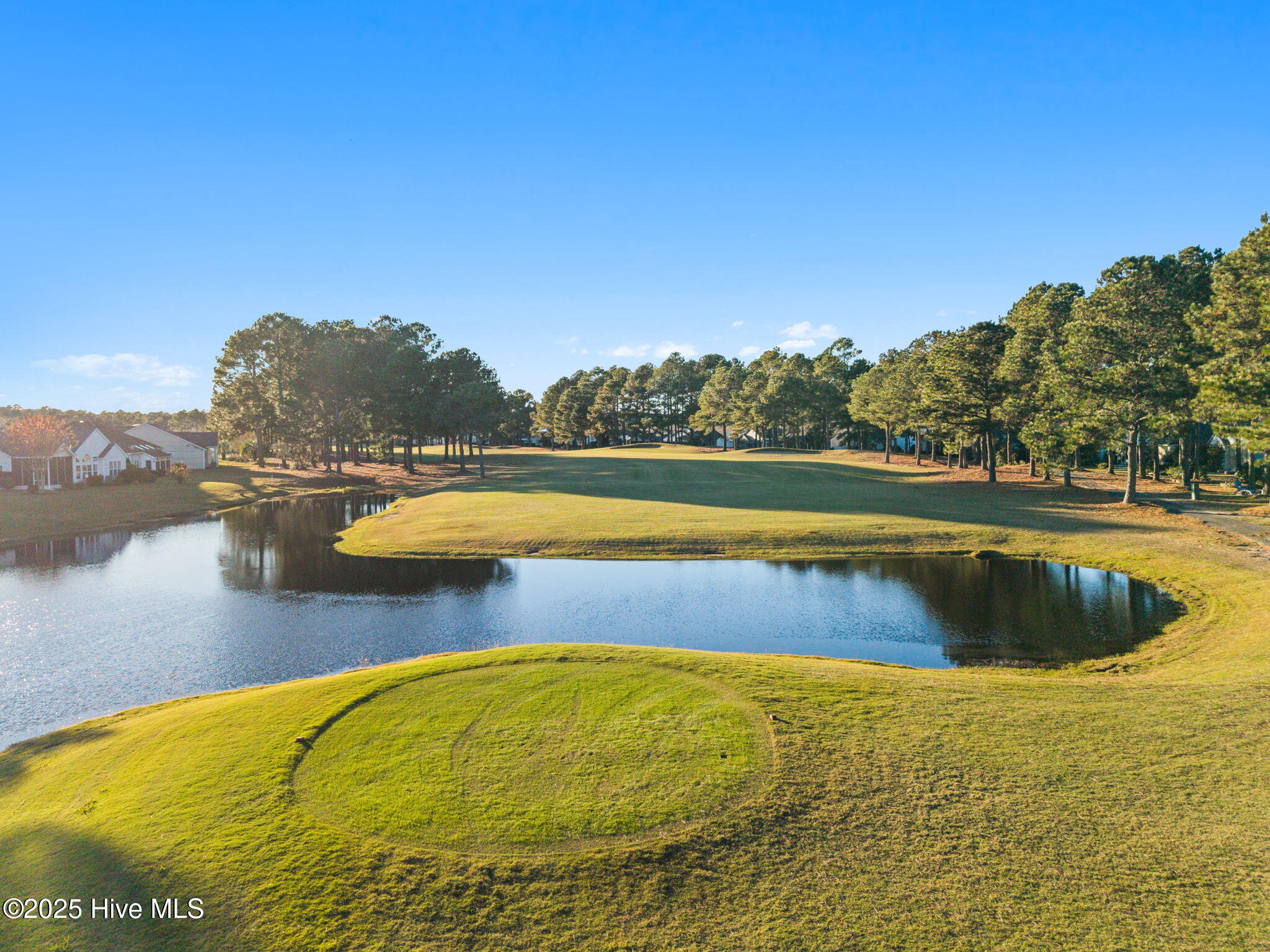 100543261 | Photo 49