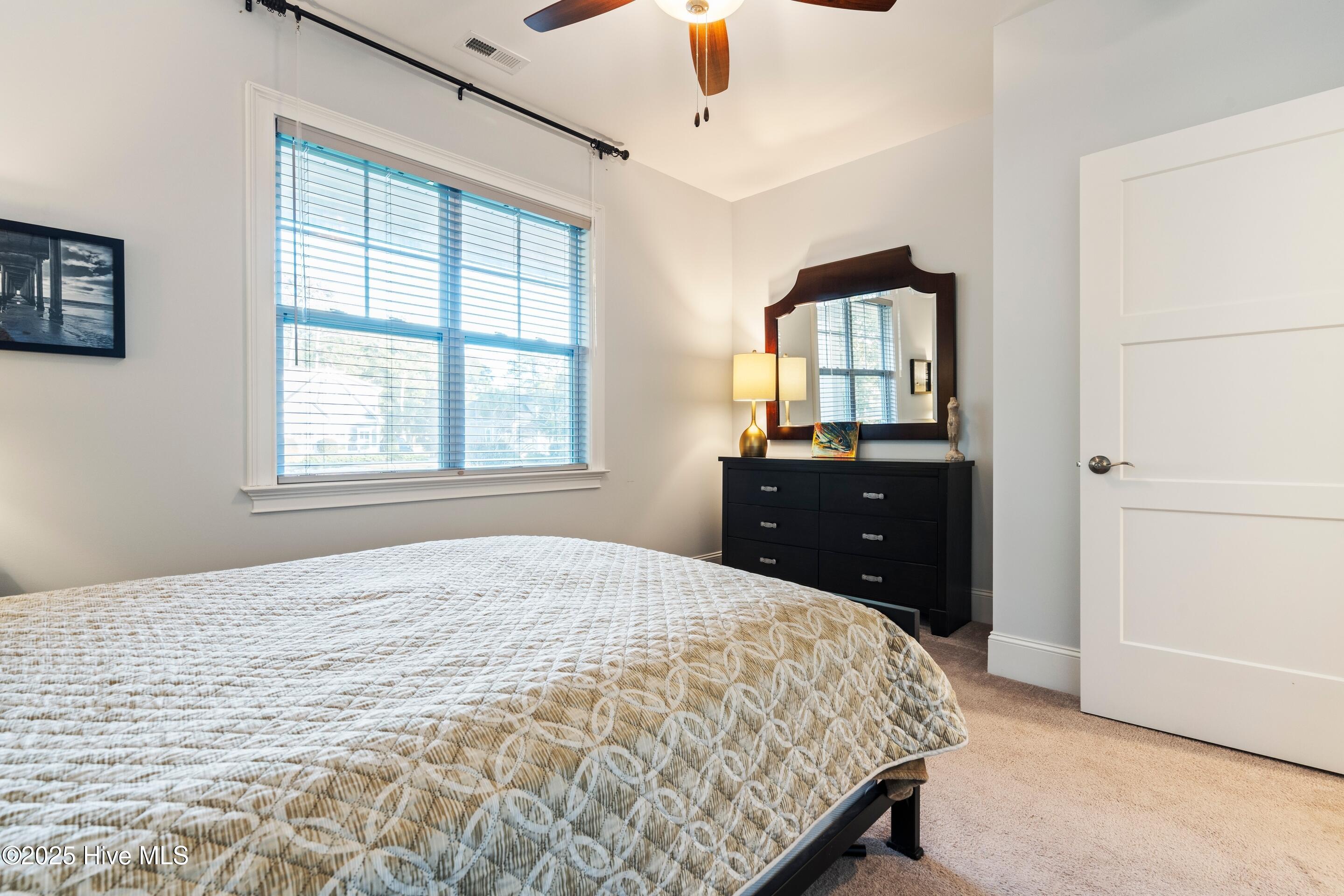 100542073 | Photo 35