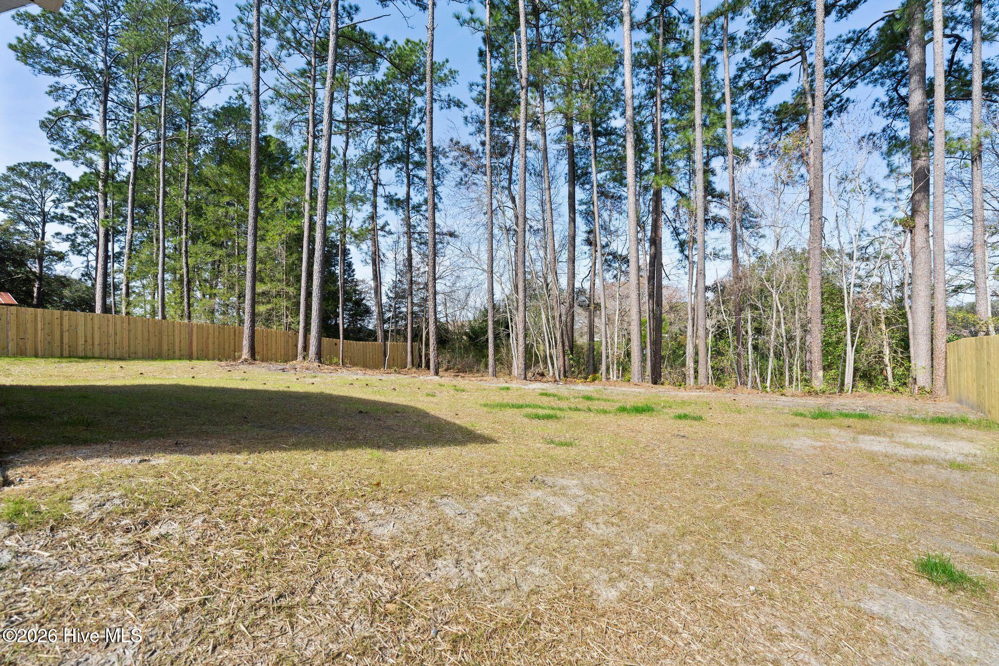 100558463 | Photo 50