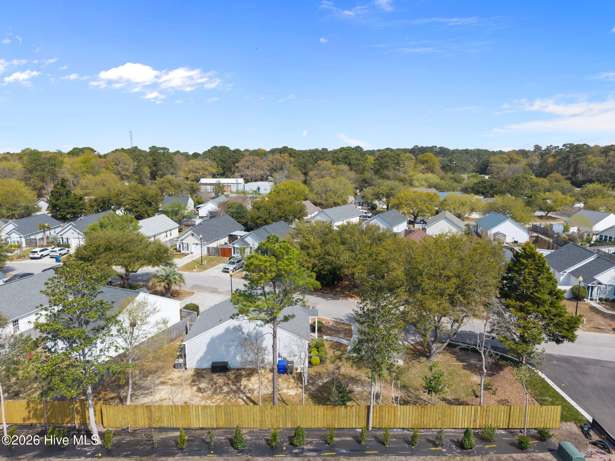 100563094 | Photo 33