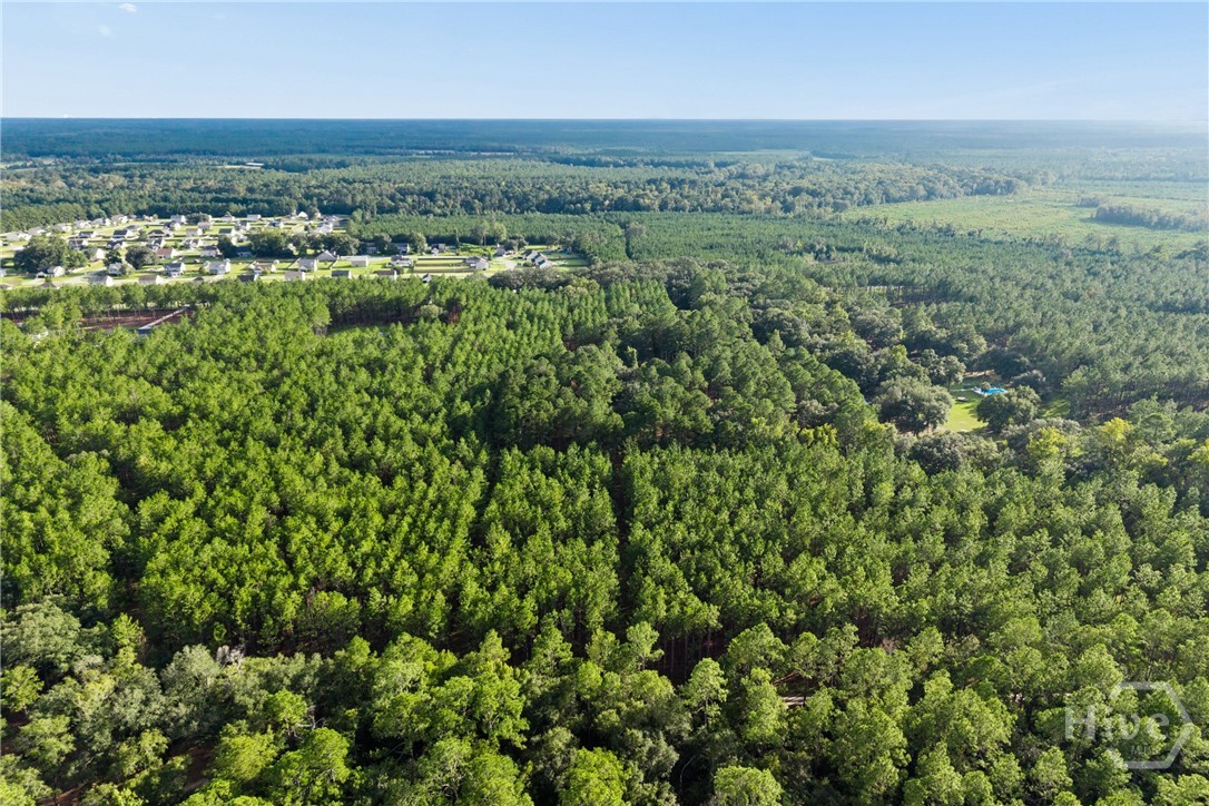Photo 3 of Land for sale at 0 Bub, Ellabell, GA 31308 | MLS# SA364887 | Listing updated on 2026-09-30
