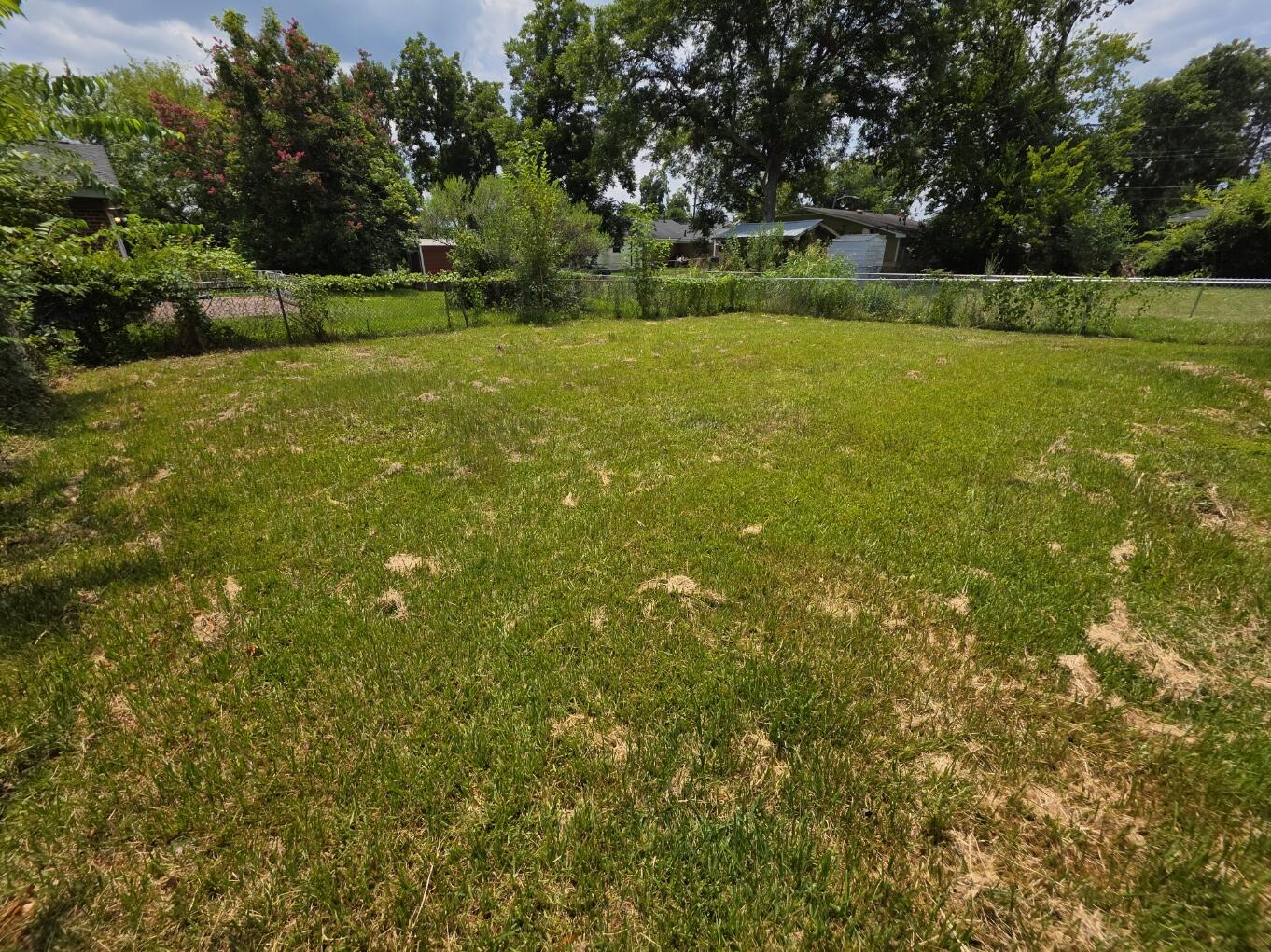 406 Espinosa rear yard