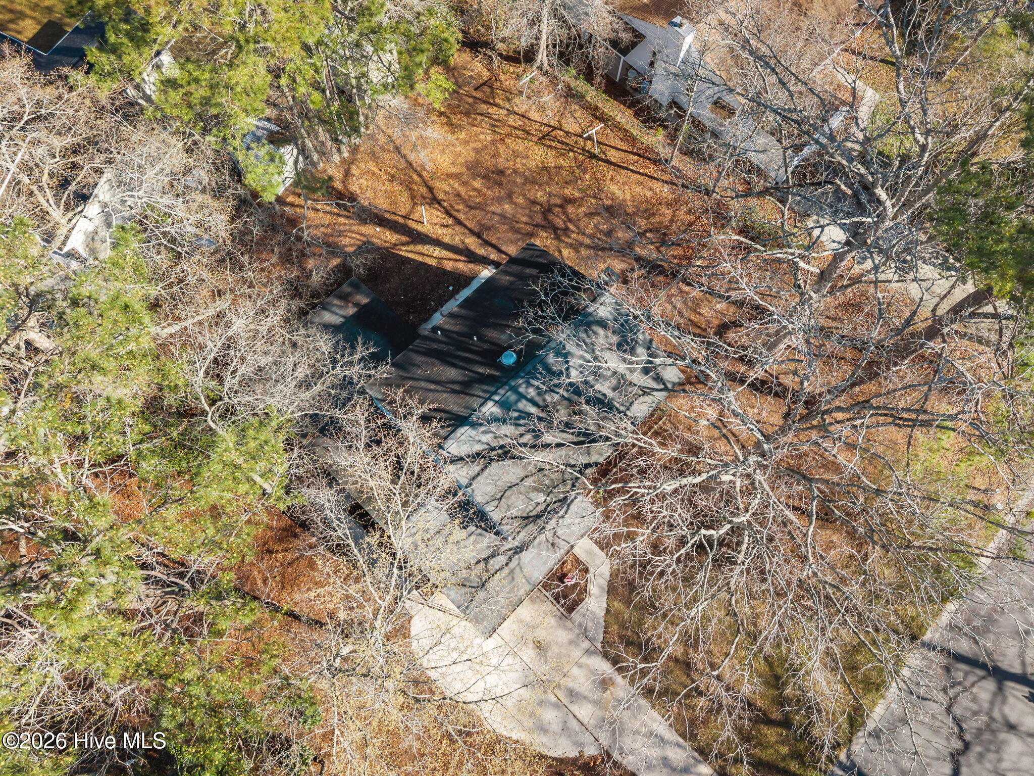 100560712 | Photo 42