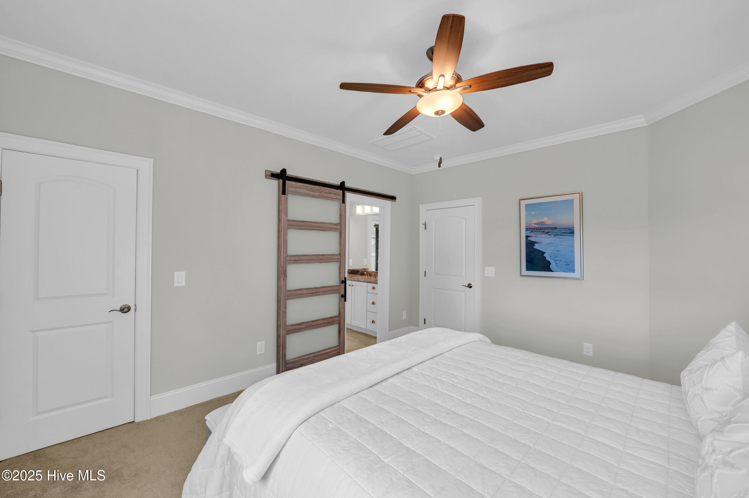 100536582 | Photo 32