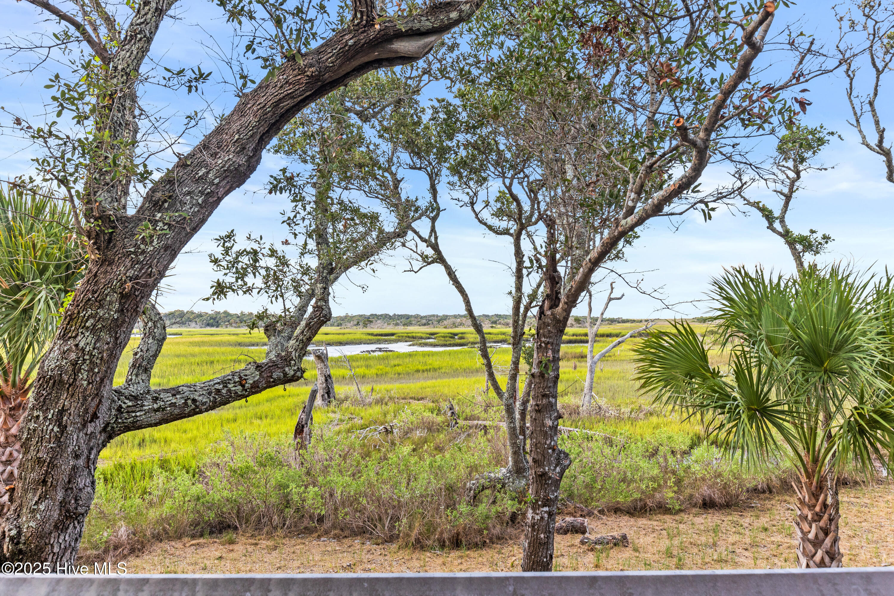 100531454 | Photo 88