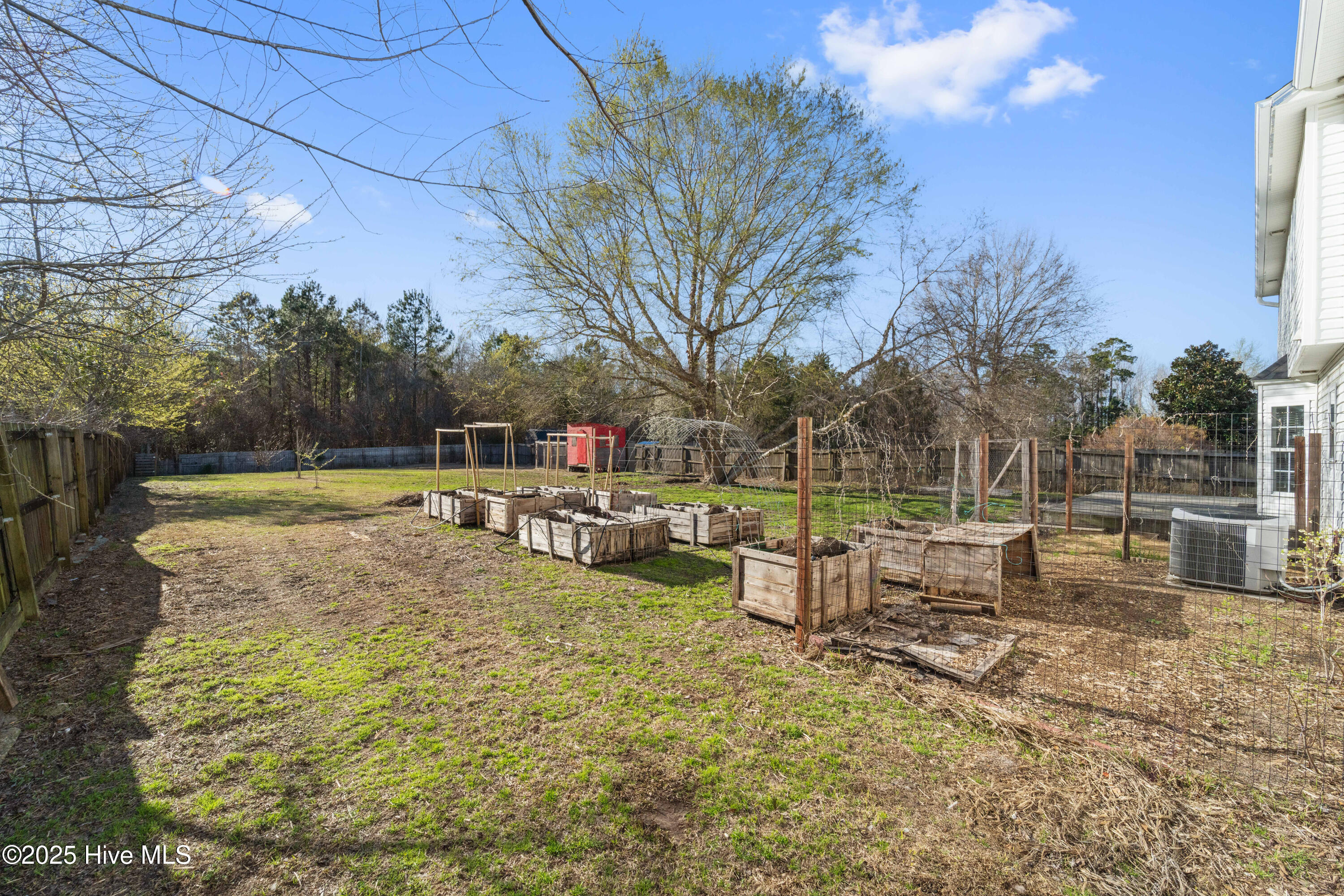 100556361 | Photo 19