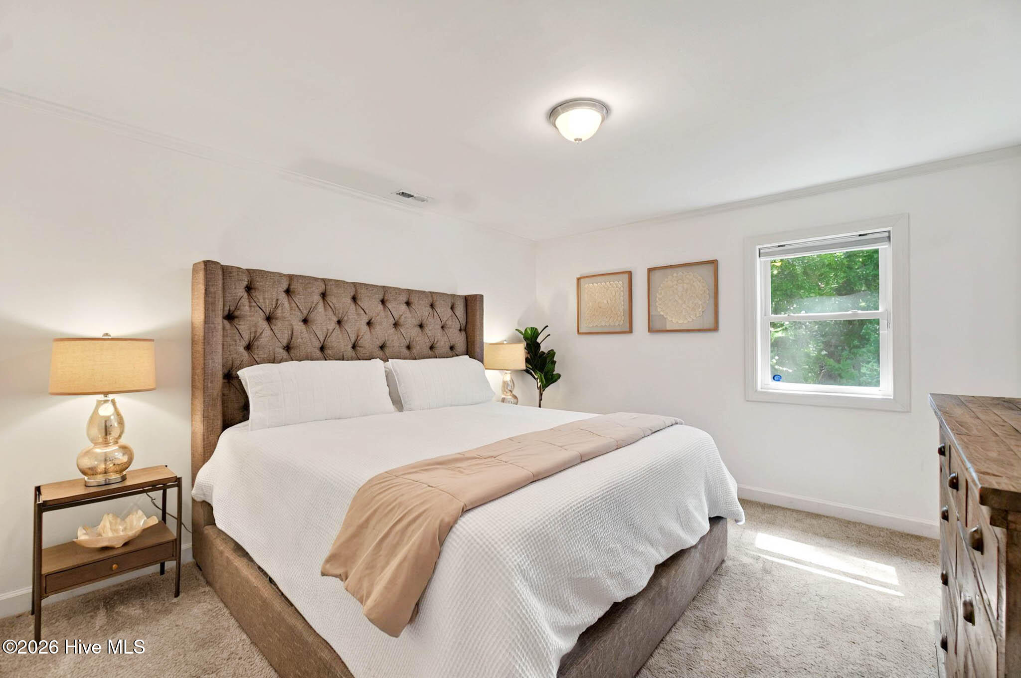 100556049 | Photo 49