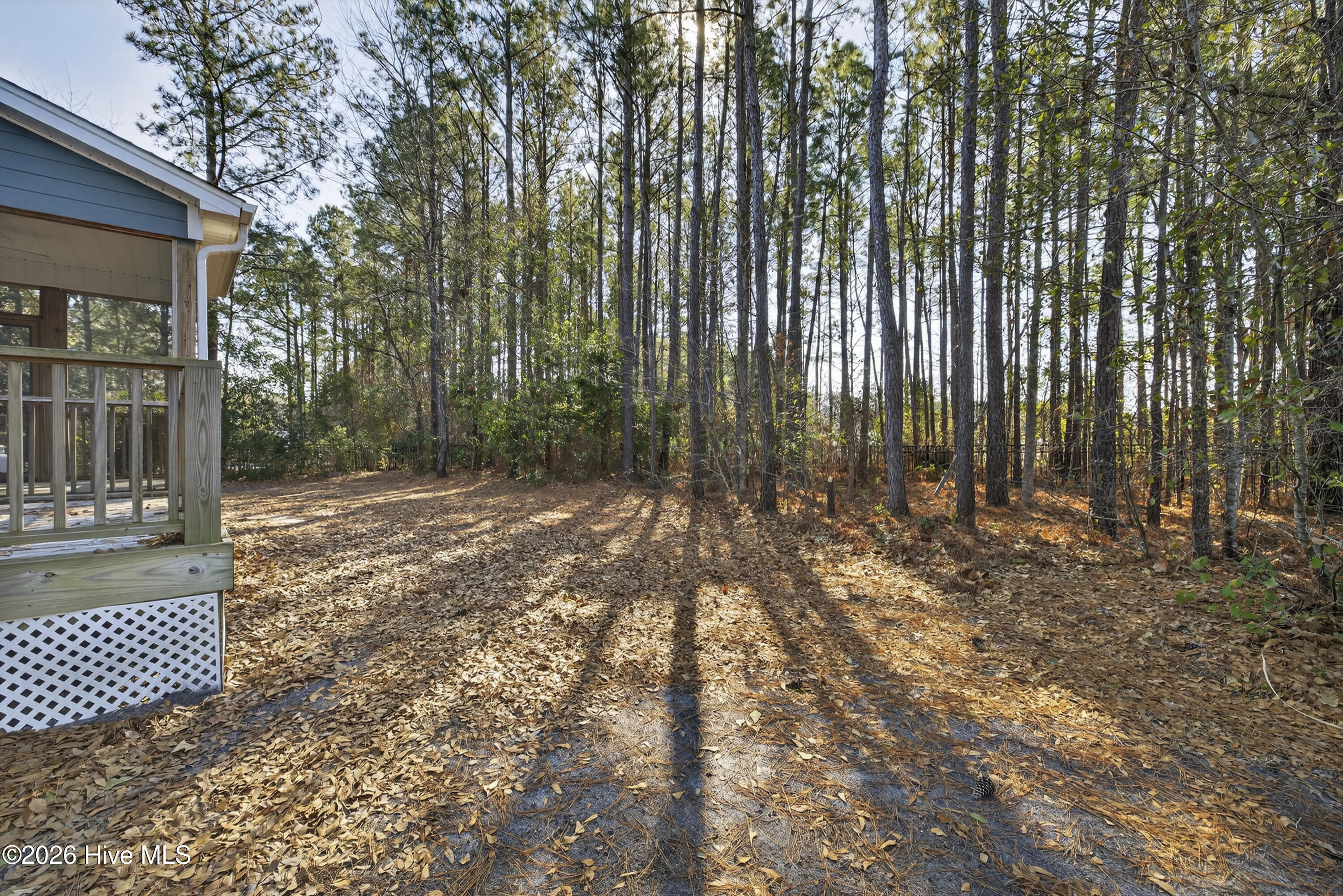 100555672 | Photo 49