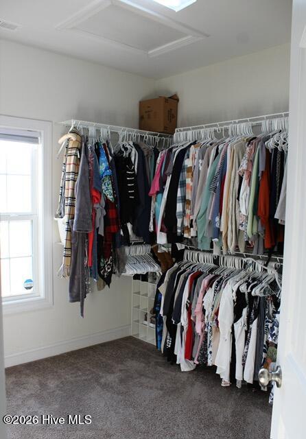 100548455 | Photo 39