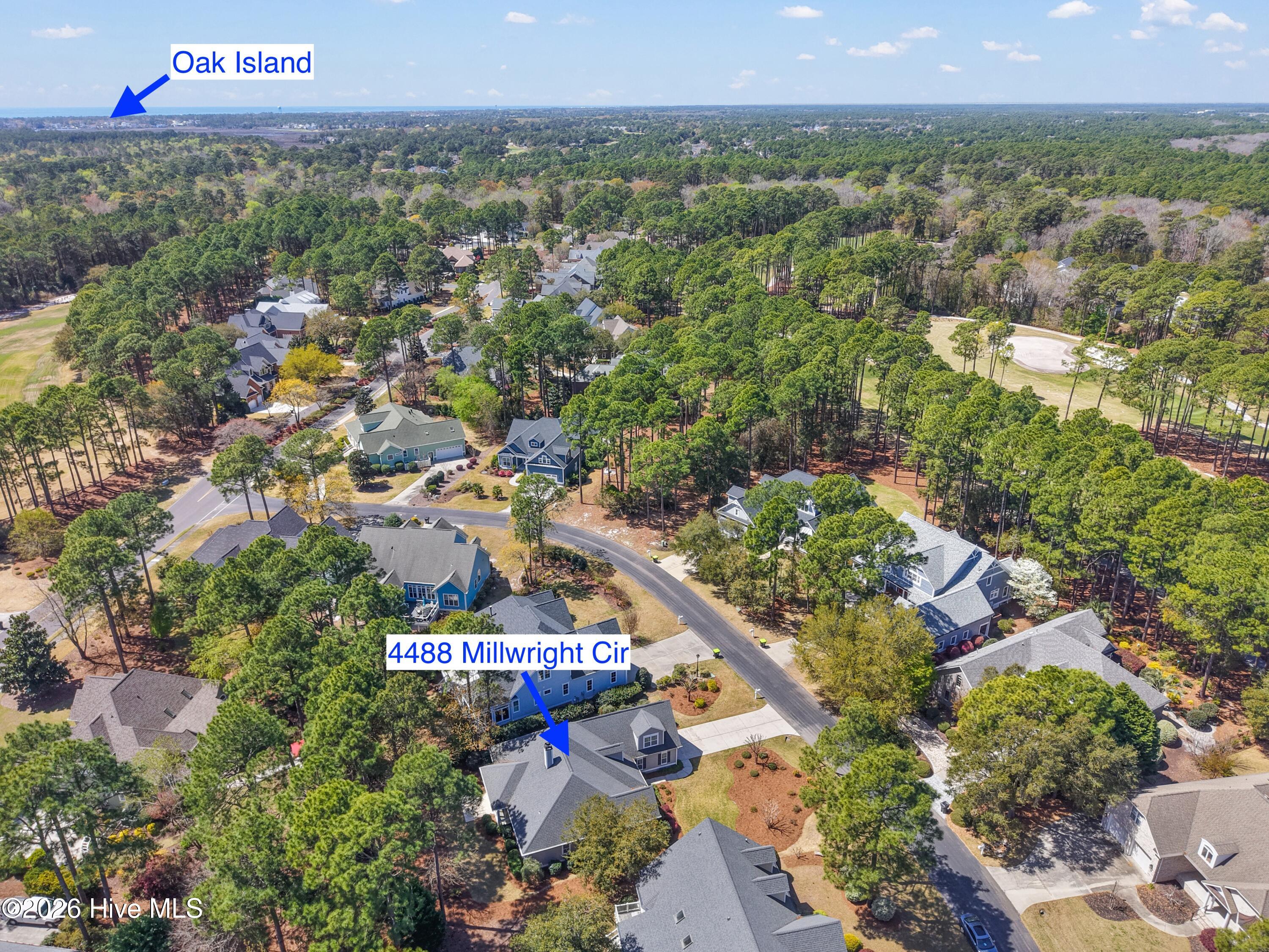 100563713 | Photo 50