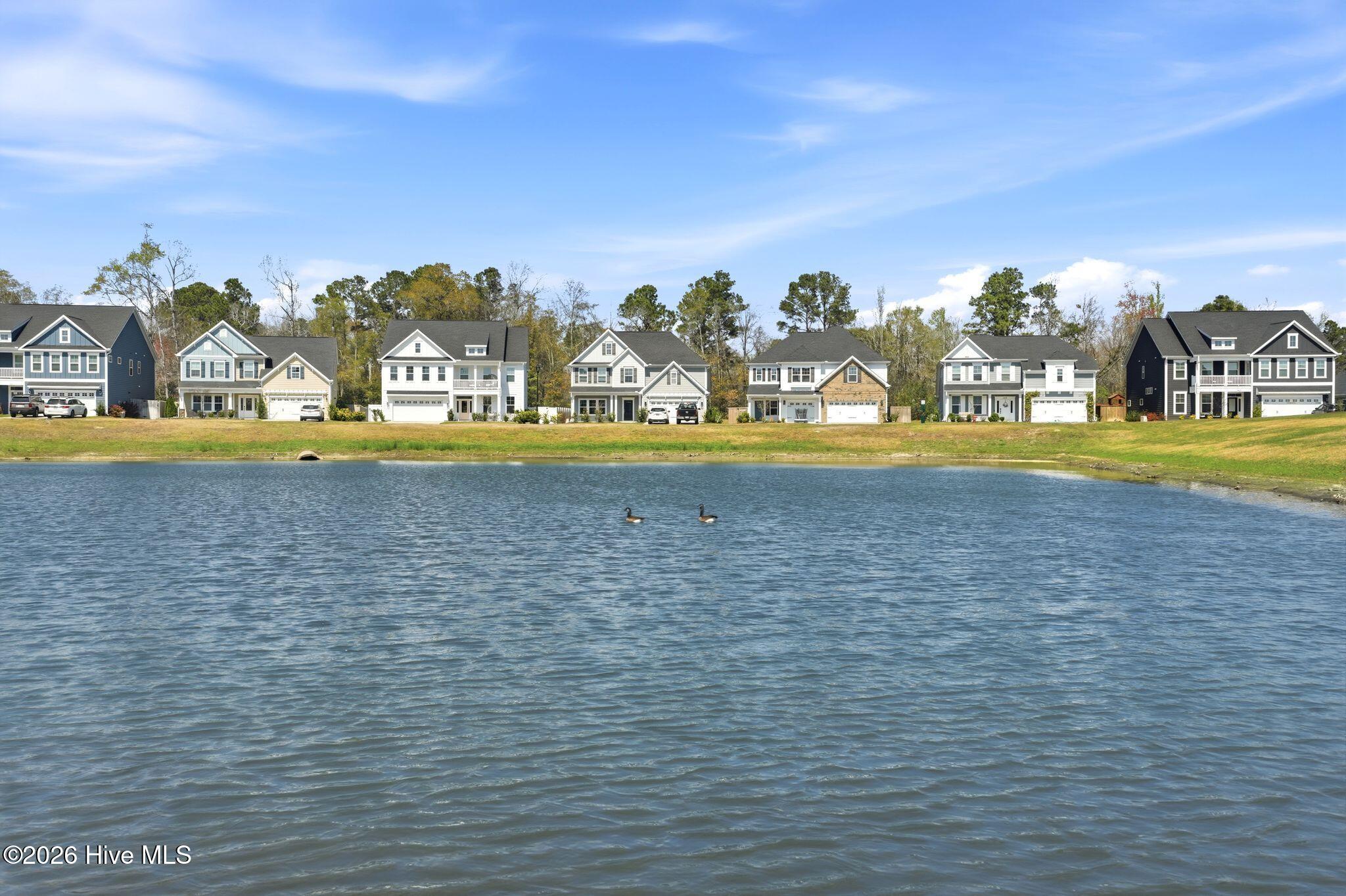 100563287 | Photo 92