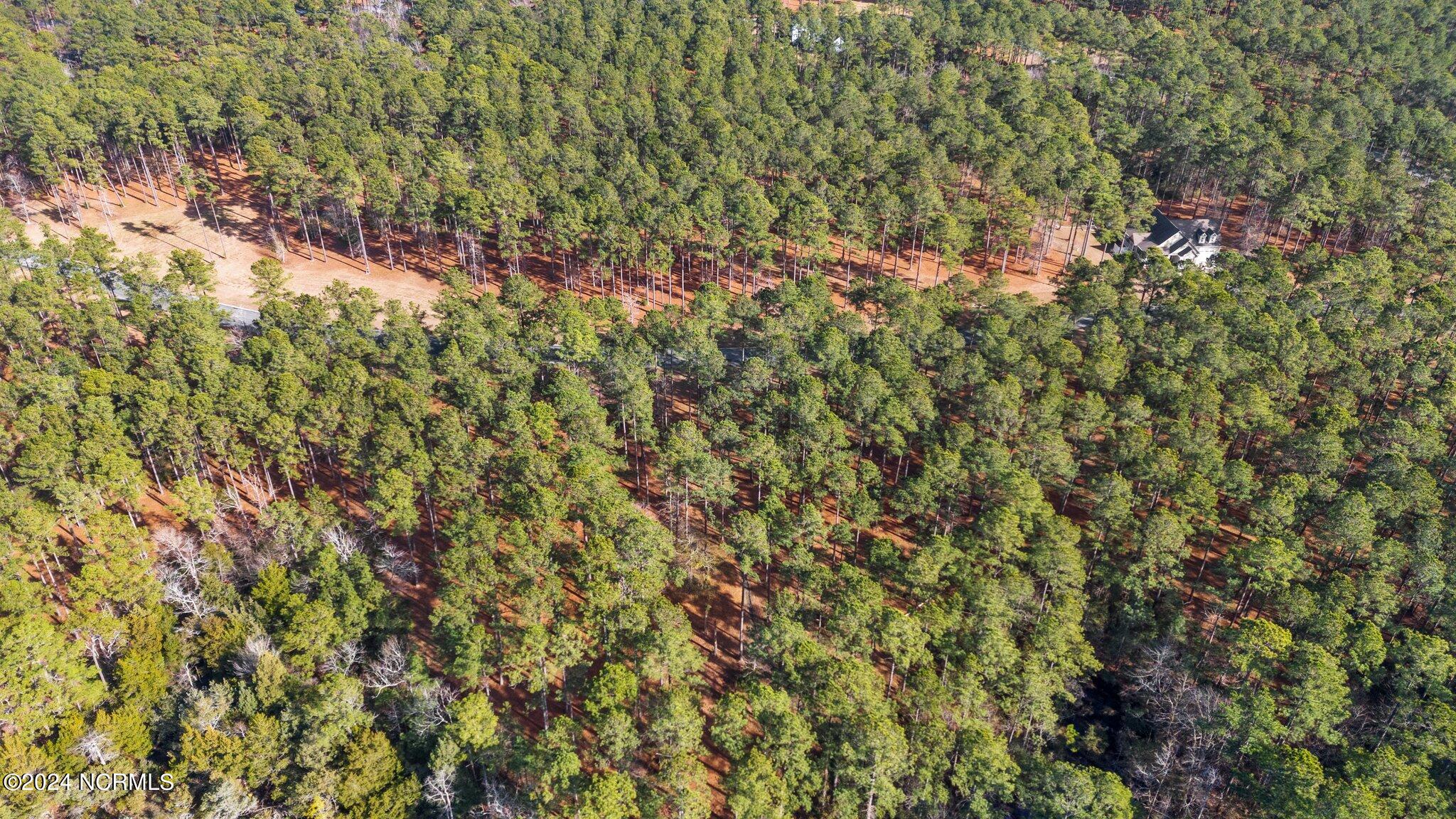 137 Lot 31 Ocracoke Drive,Oriental